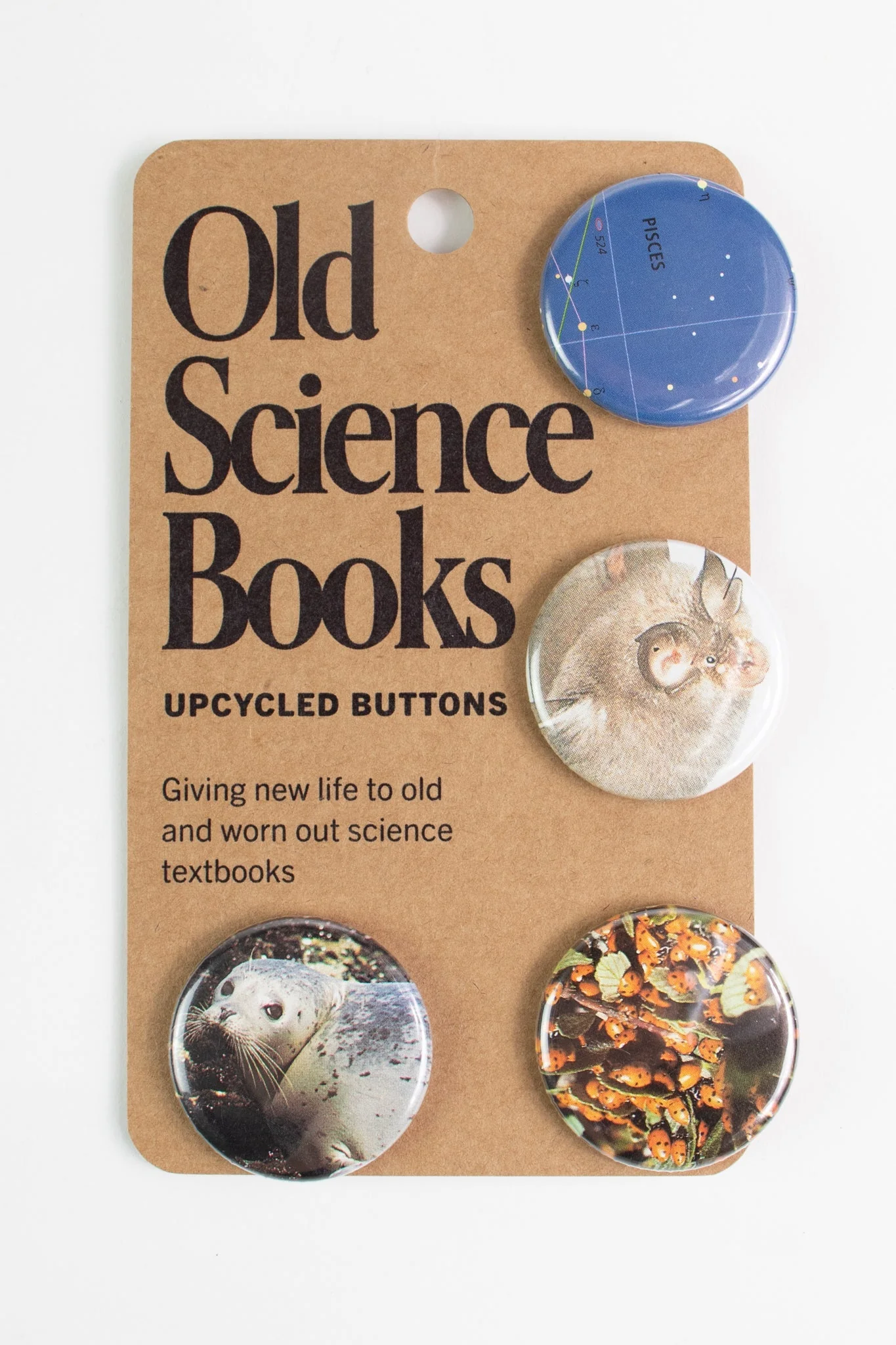 Old Science Books: Upcycled Buttons - Unique Set of 4 - Image 6