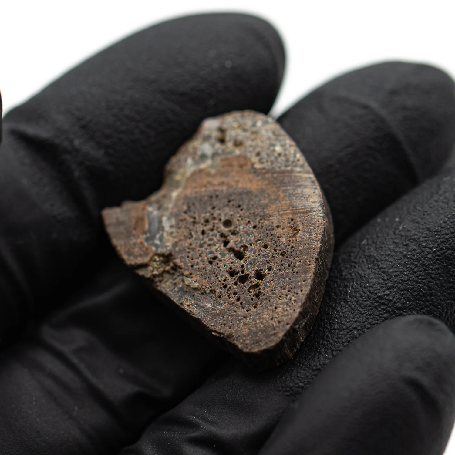 Oviraptor Bone - 3.066g Fossil - Image 3