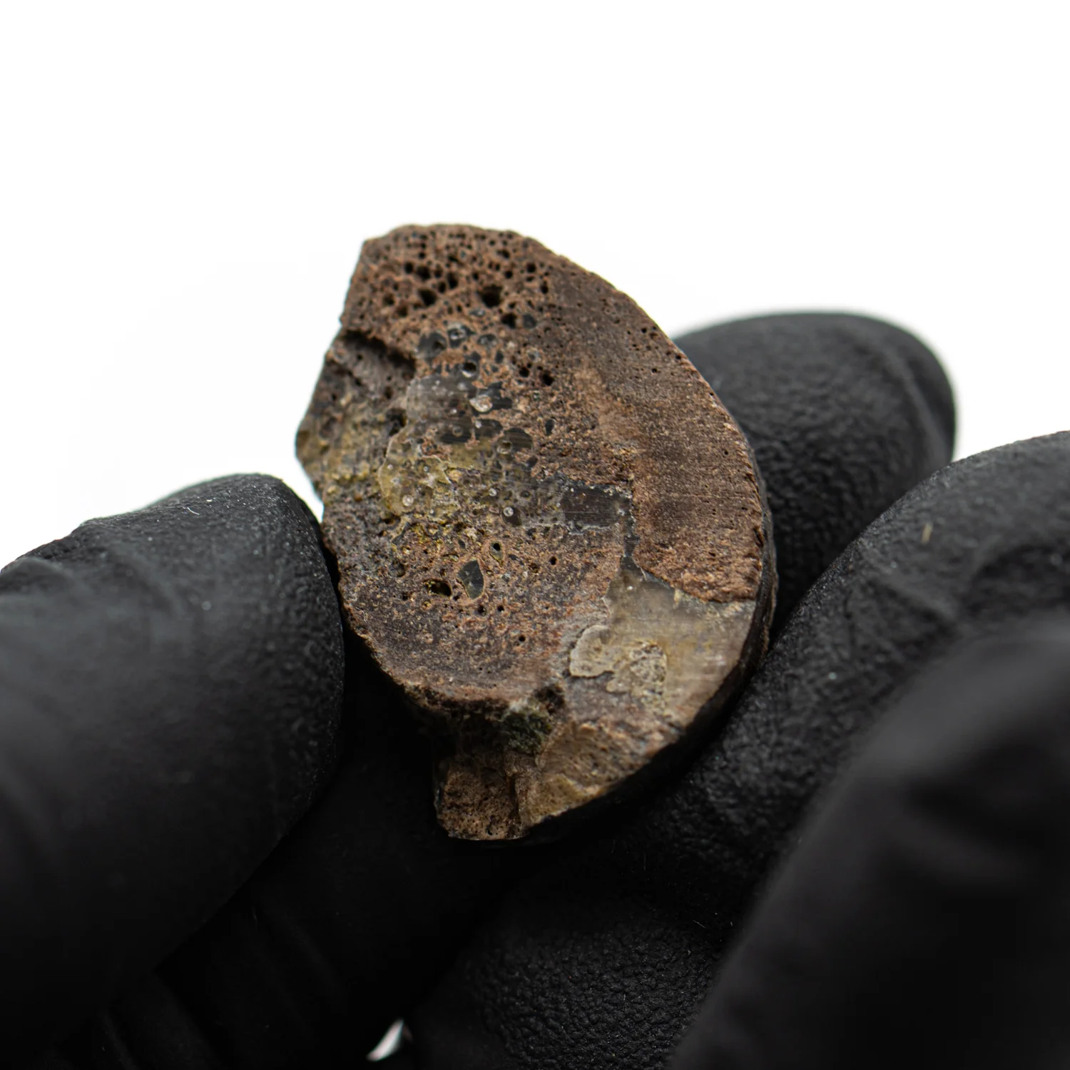 Oviraptor Bone - 3.283g Fossil