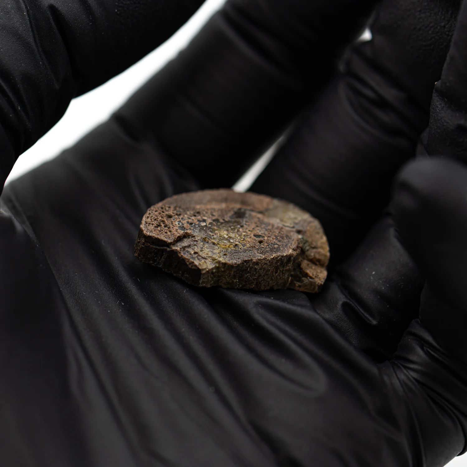 Oviraptor Bone - 3.283g Fossil - Image 4