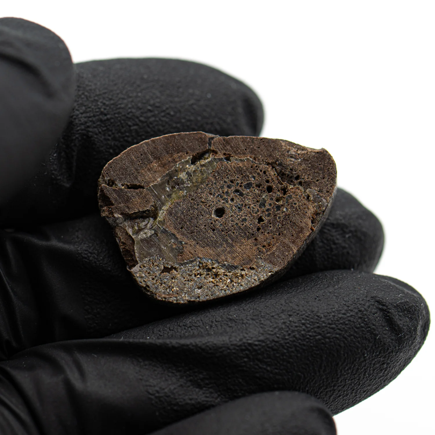 Oviraptor Bone - 3.284g Fossil - Image 2