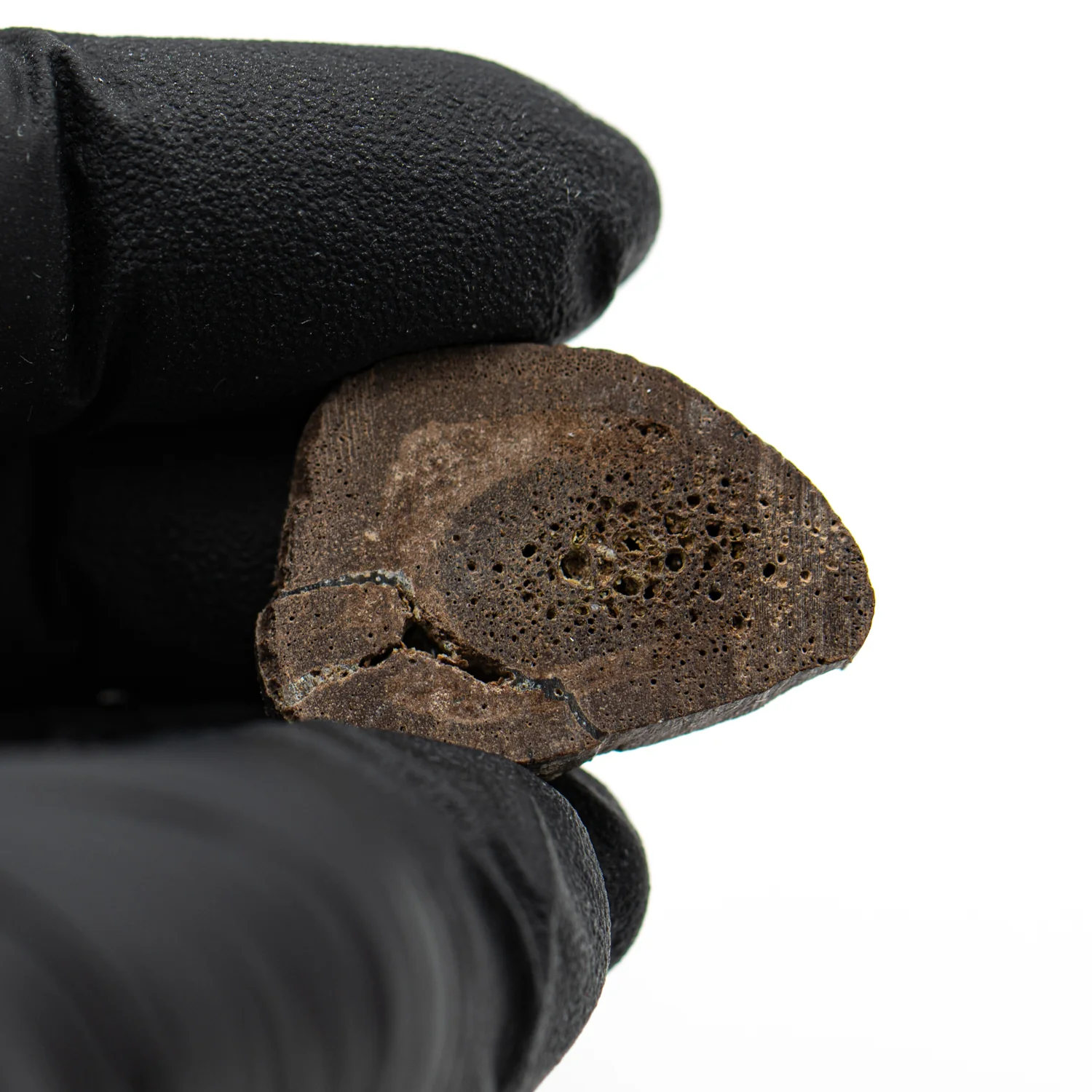 Oviraptor Bone - 3.284g Fossil - Image 3
