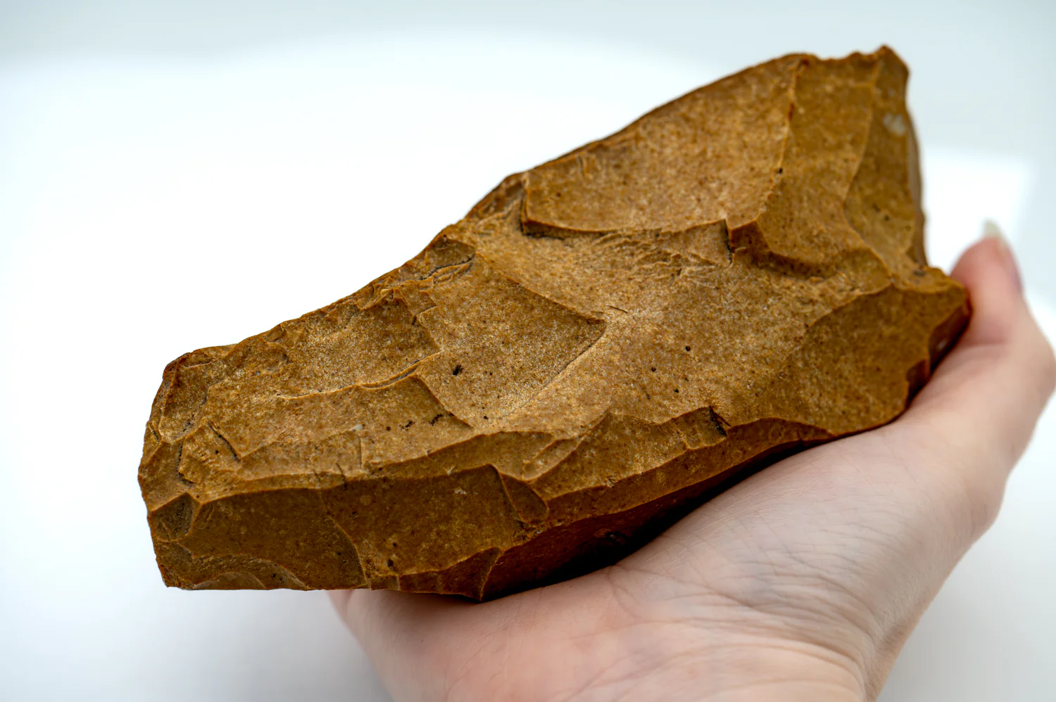 Paleolithic Stone Tool SOLD 5.76" Nucleus - Image 4