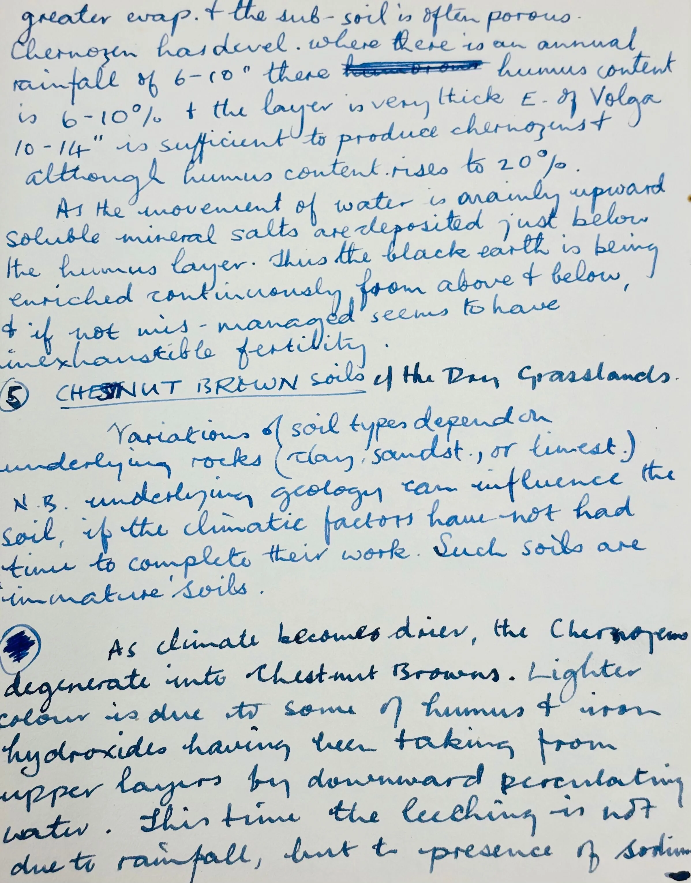 Paul McCartney Beckett Handwriting - Removed From His Highschool Notebook - Image 3
