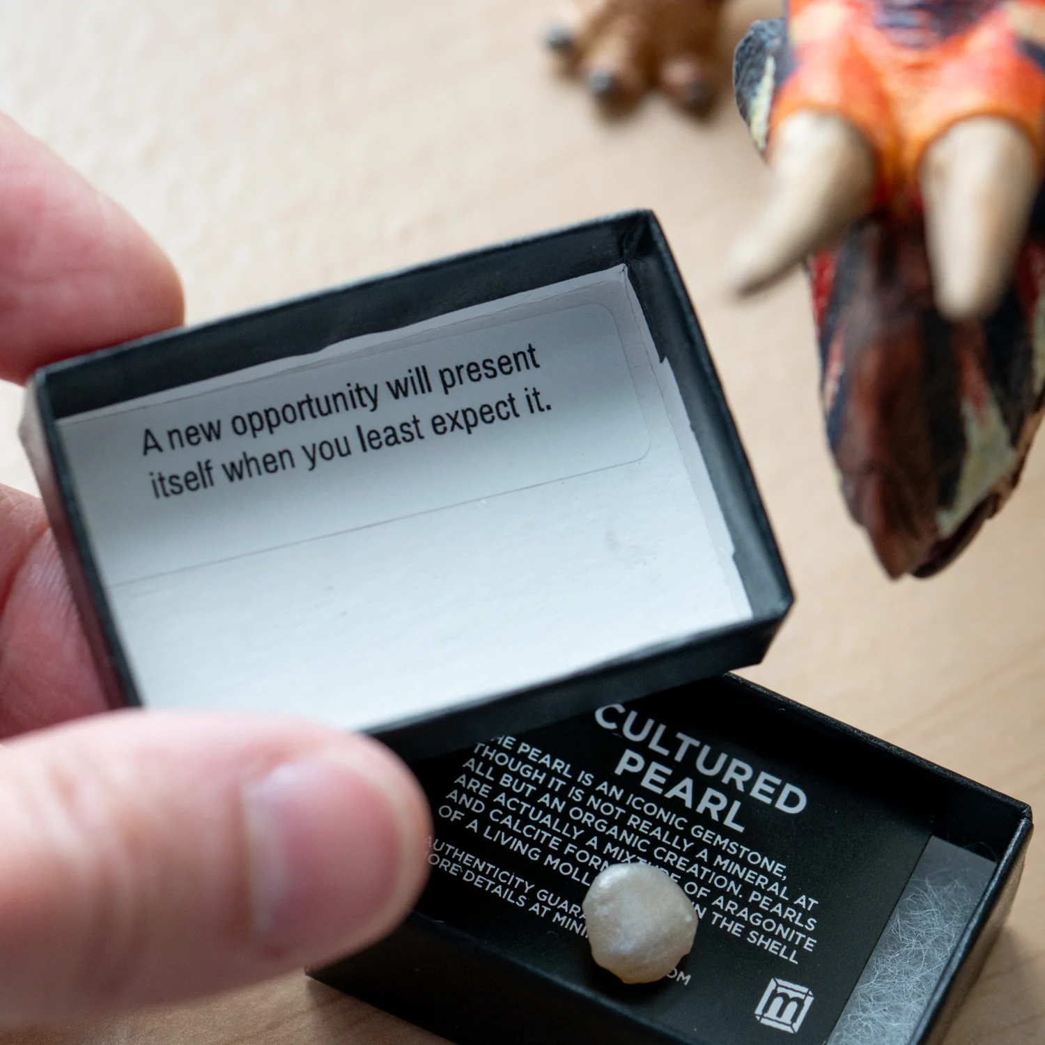 Pearl of Wisdom Pocket Treasure - Image 2