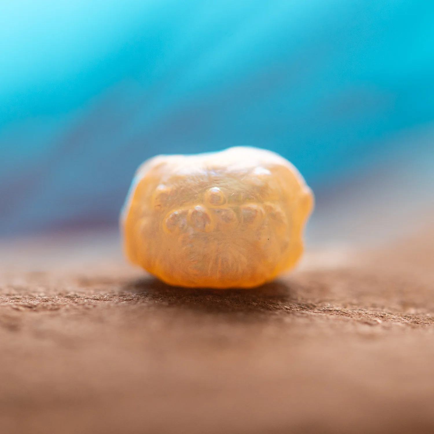 Pearl of Wisdom Pocket Treasure - Image 3