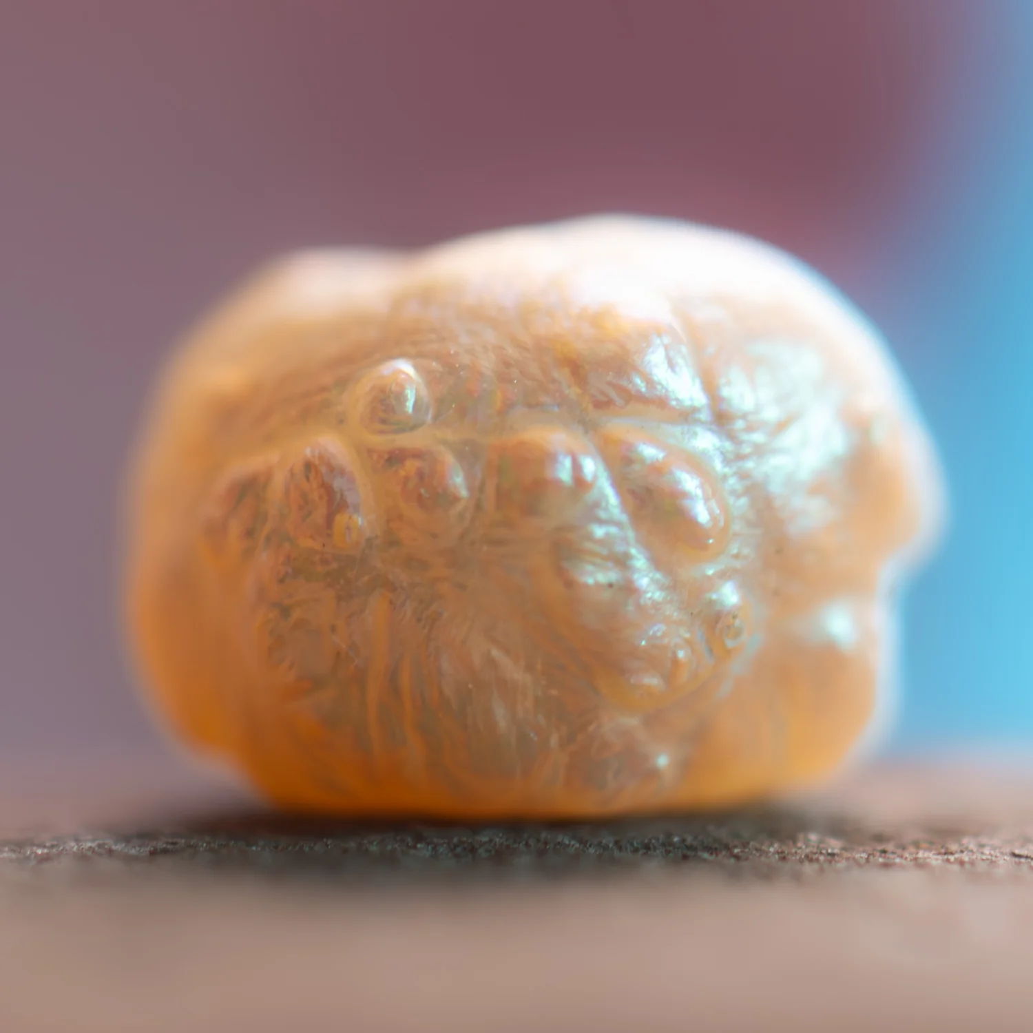 Pearl of Wisdom Pocket Treasure - Image 4