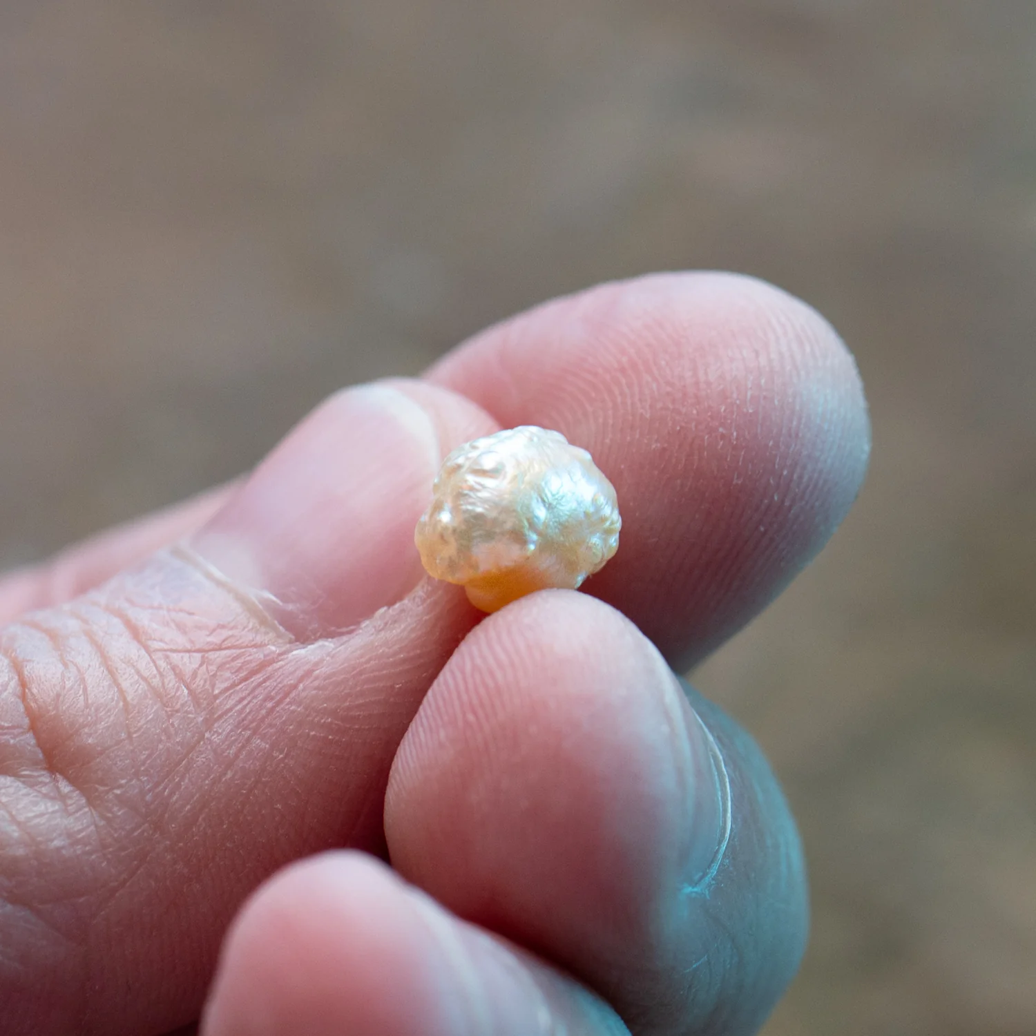 Pearl of Wisdom Pocket Treasure - Image 6