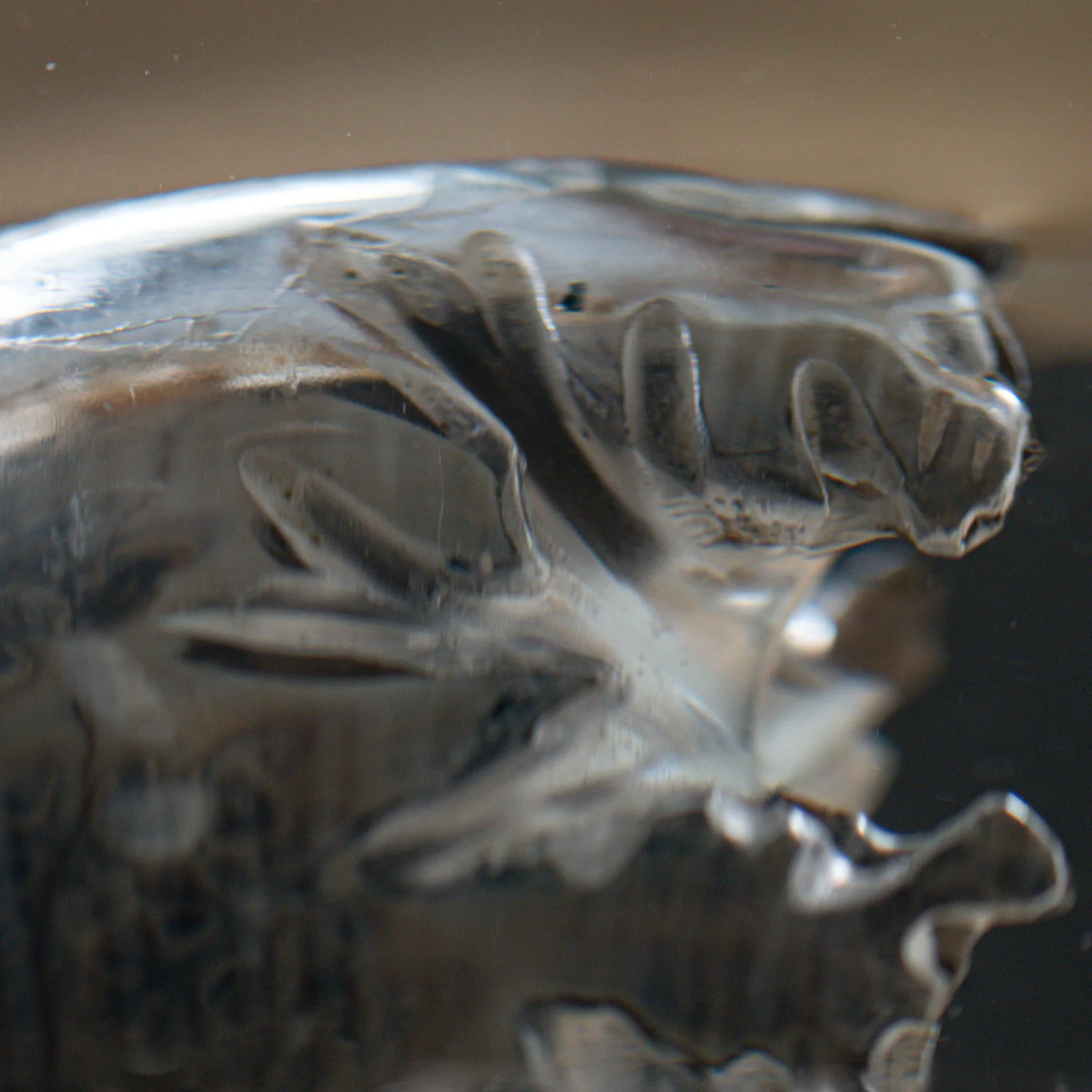 Phylloceras Ammonite Point - Acrylic Sculpture - Image 13