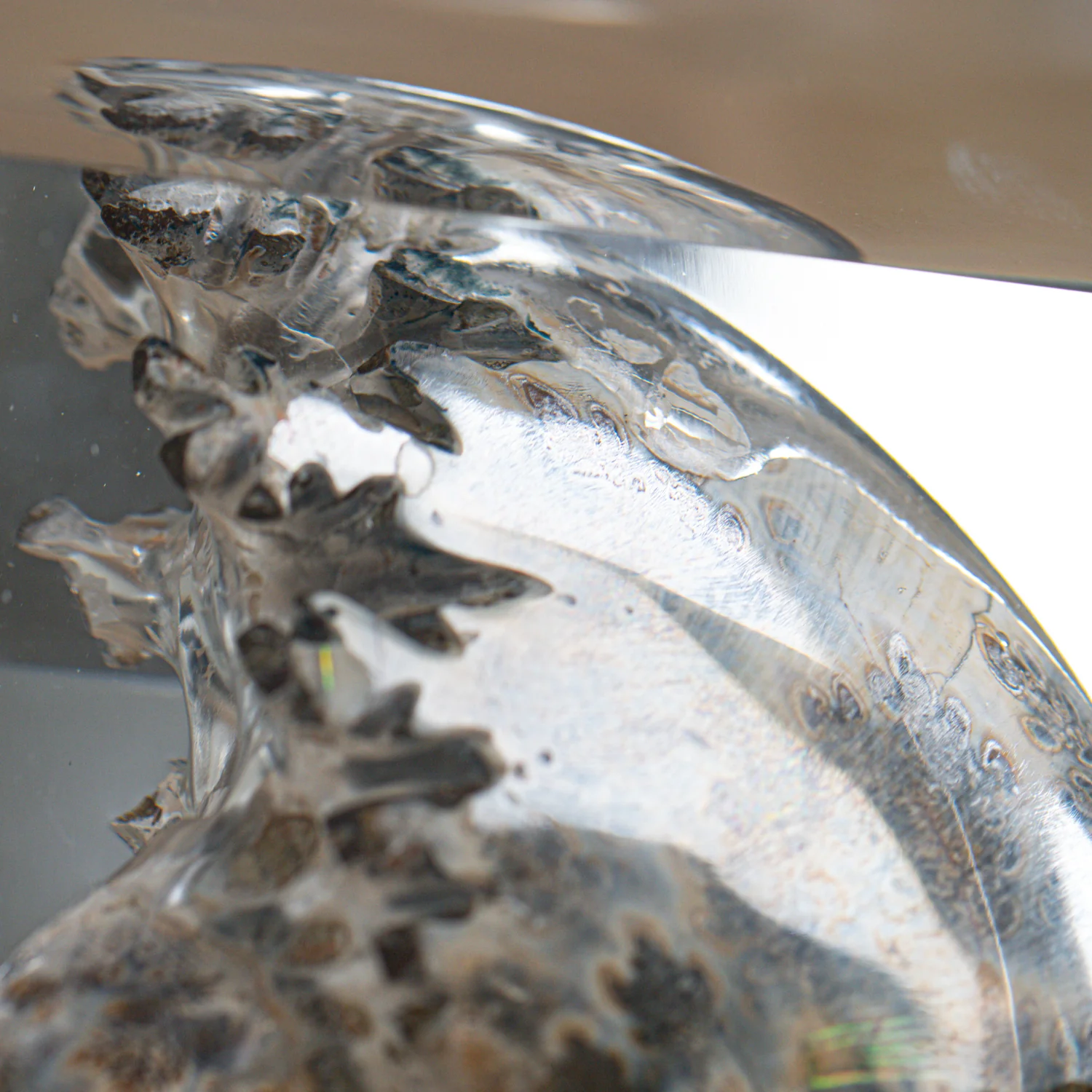 Phylloceras Ammonite Point - Acrylic Sculpture - Image 16