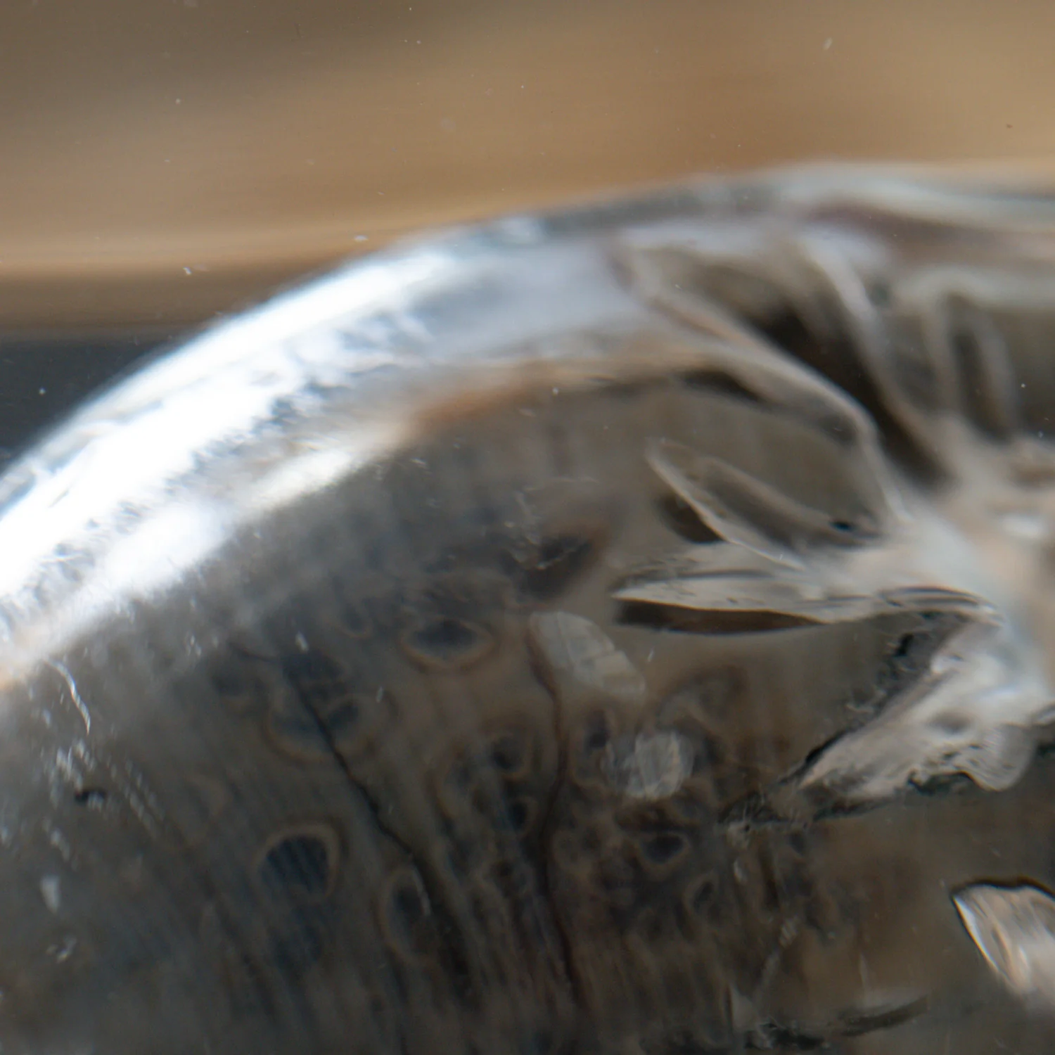 Phylloceras Ammonite Point - Acrylic Sculpture - Image 6