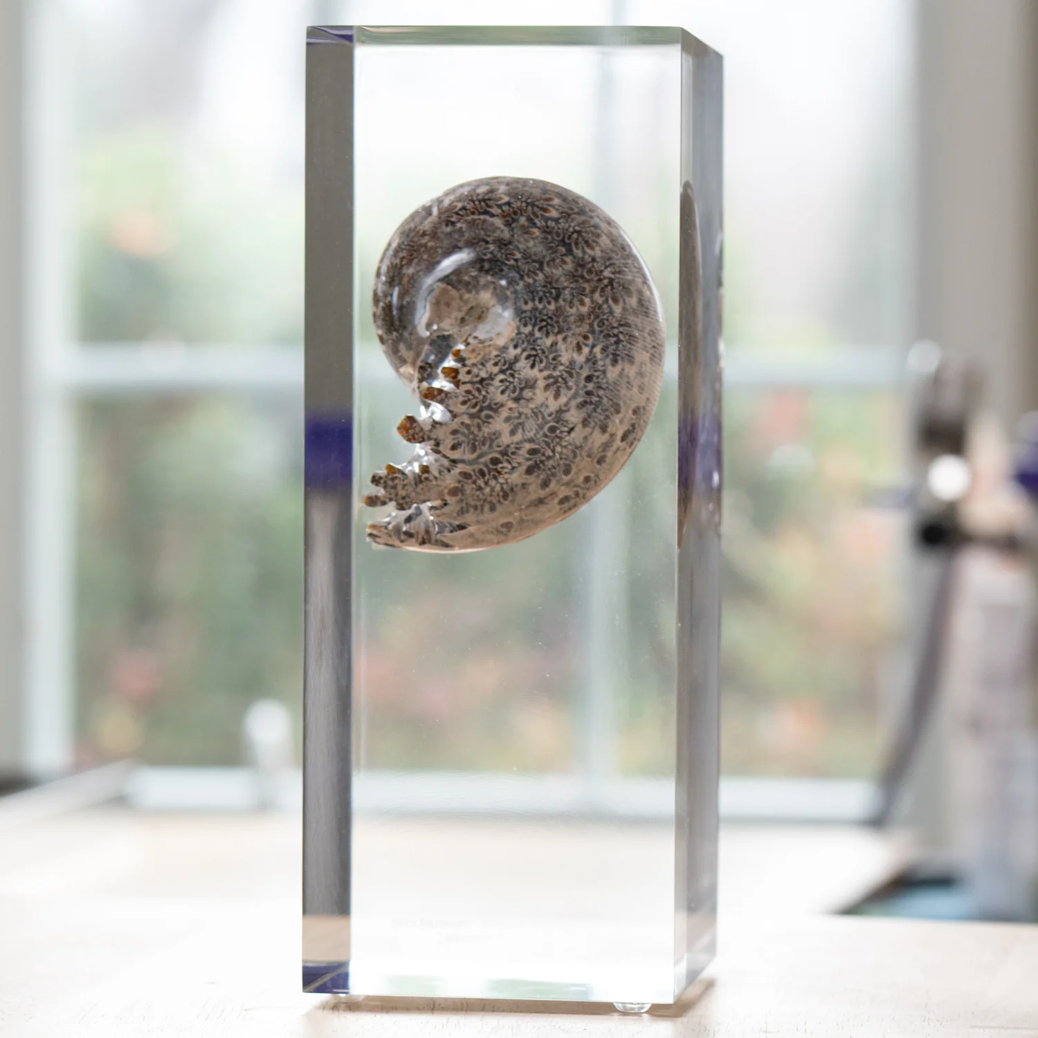 Phylloceras Ammonite Tower - Acrylic Sculpture - Image 2