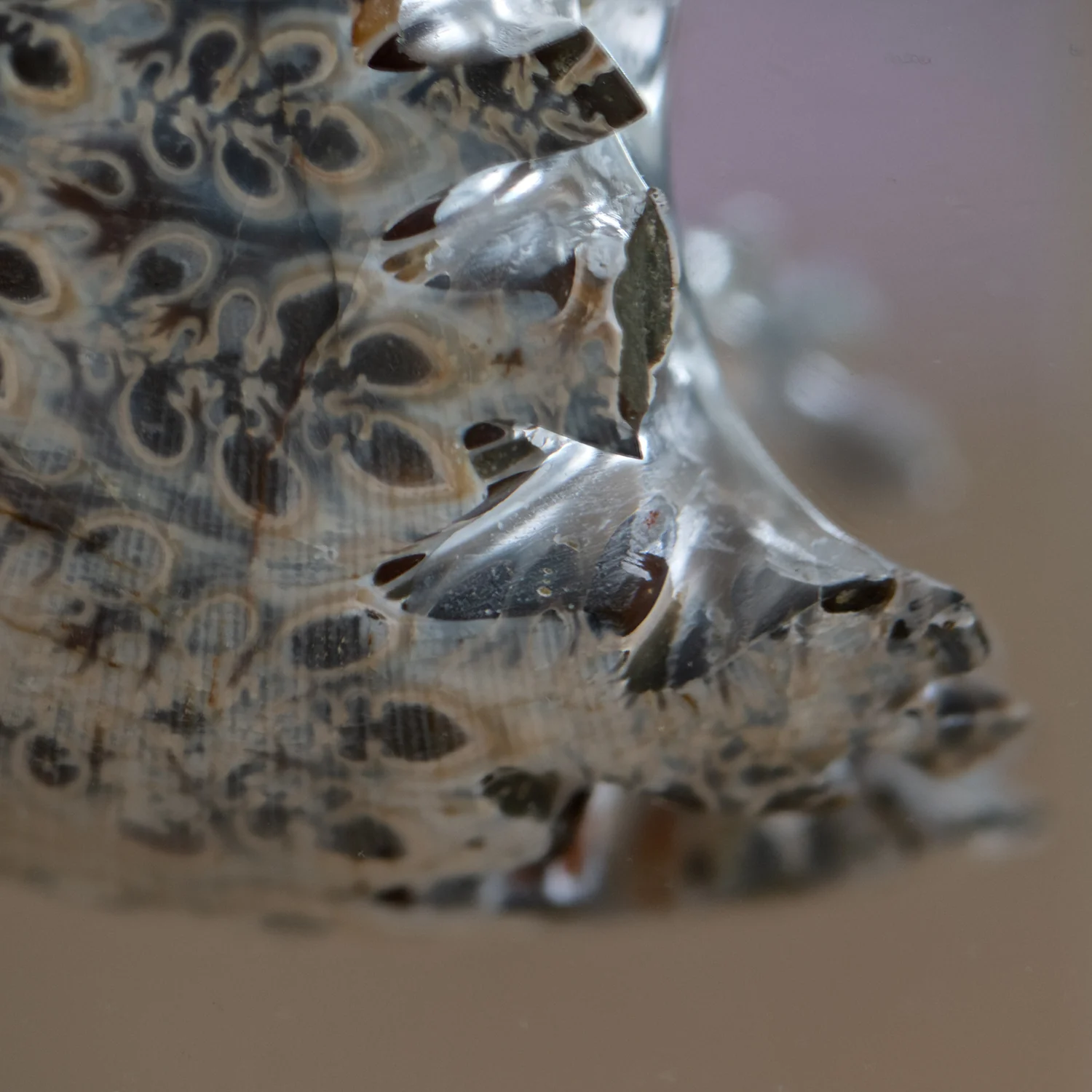 Phylloceras Ammonite Tower - Acrylic Sculpture - Image 3