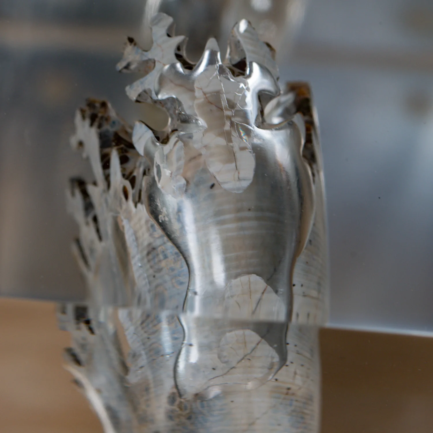 Phylloceras Ammonite Wing - Acrylic Sculpture - Image 5