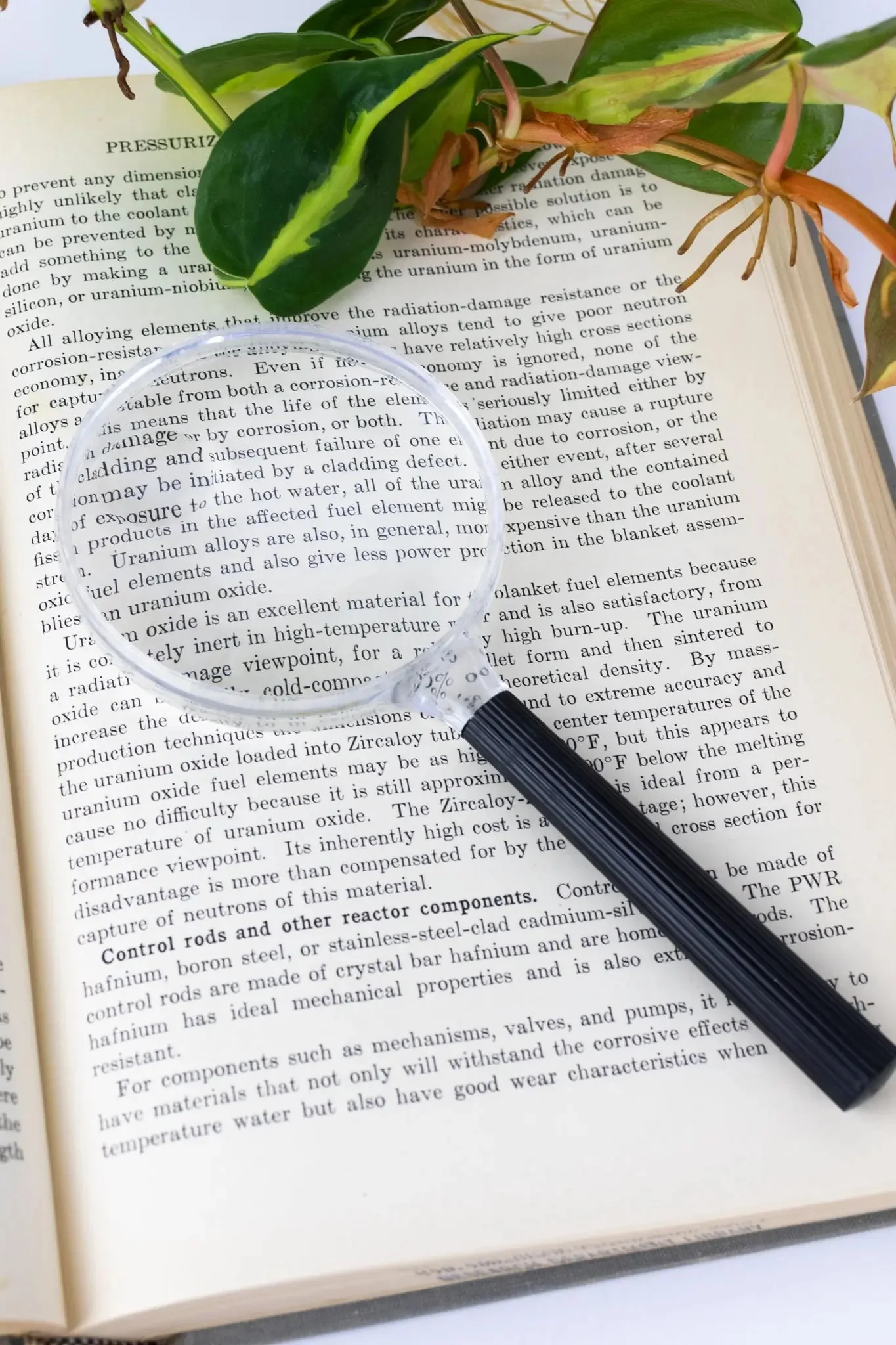 Plastic Magnifying Lens - Image 2