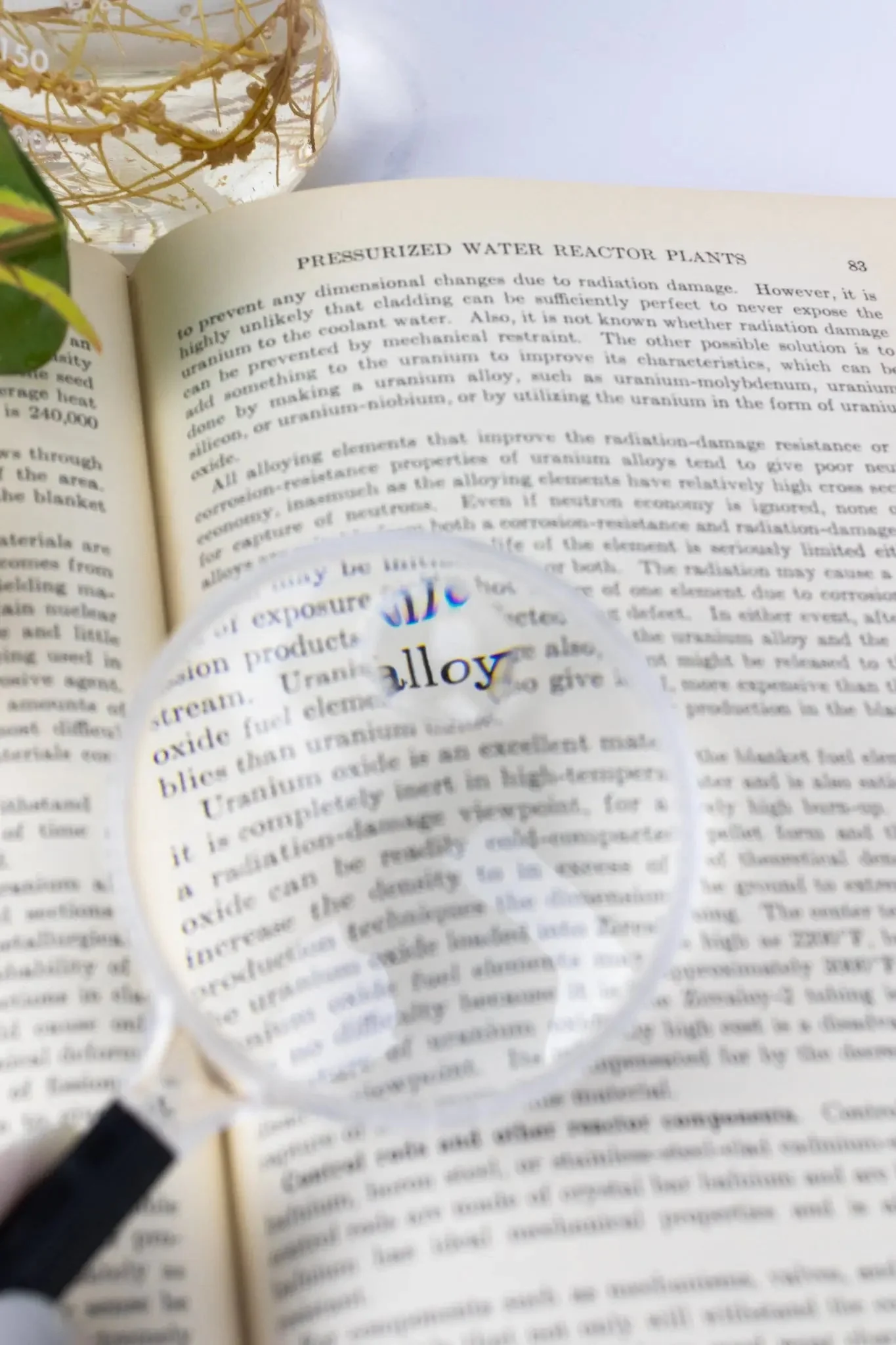 Plastic Magnifying Lens - Image 4
