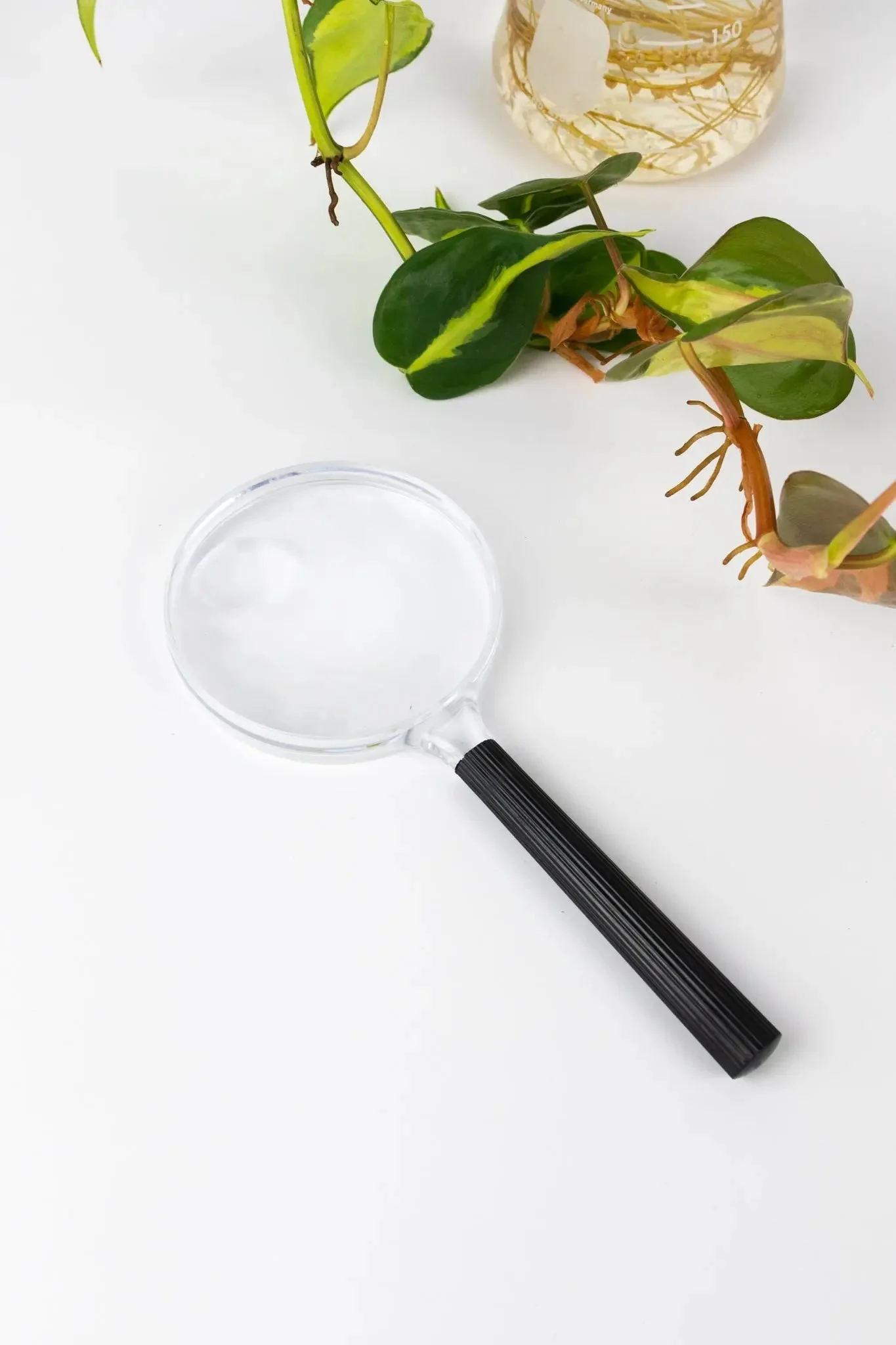 Plastic Magnifying Lens - Image 5