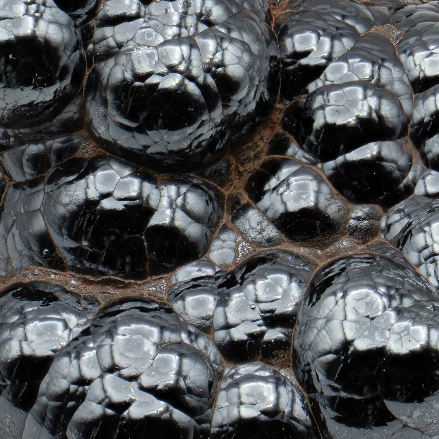 Botryoidal Hematite - Polished Handheld Specimens - Image 4