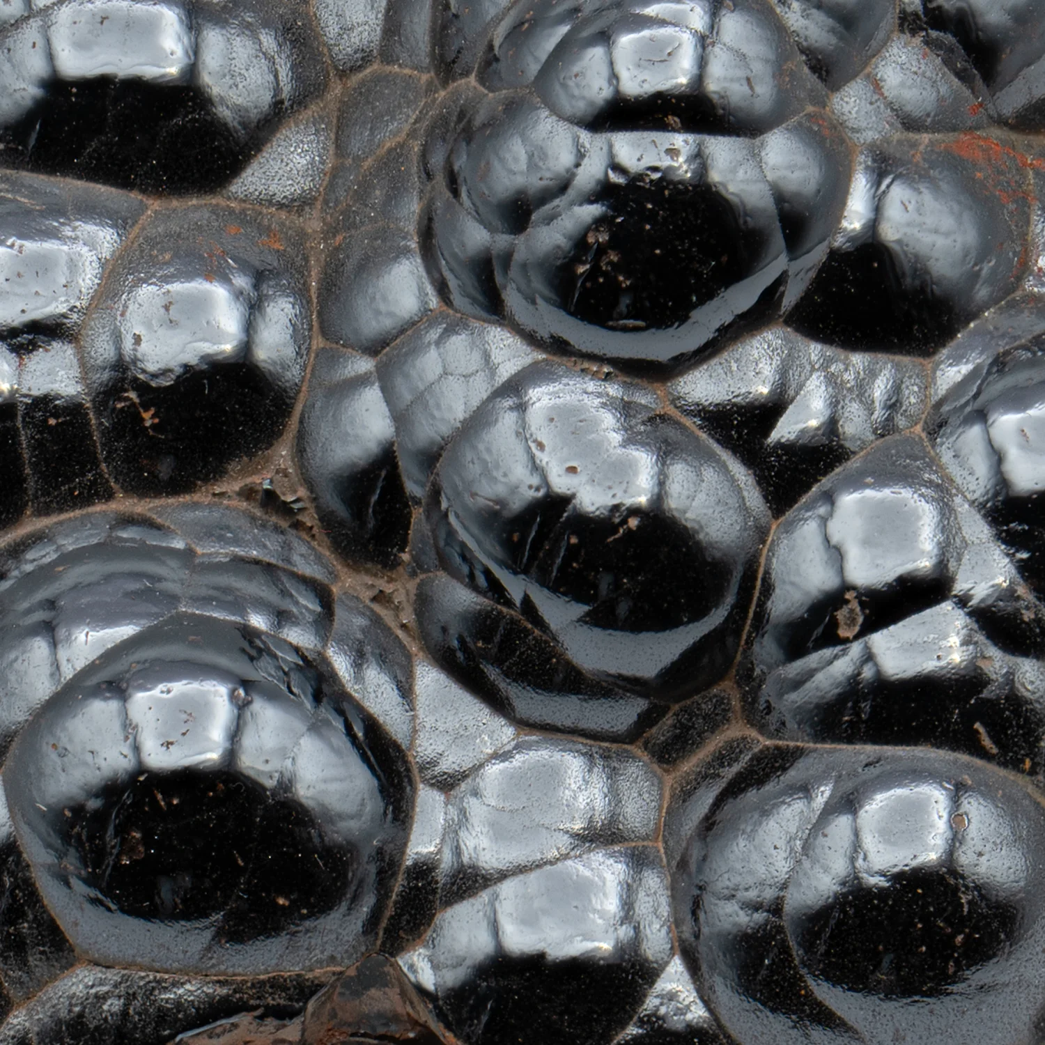Botryoidal Hematite - Polished Handheld Specimens - Image 7
