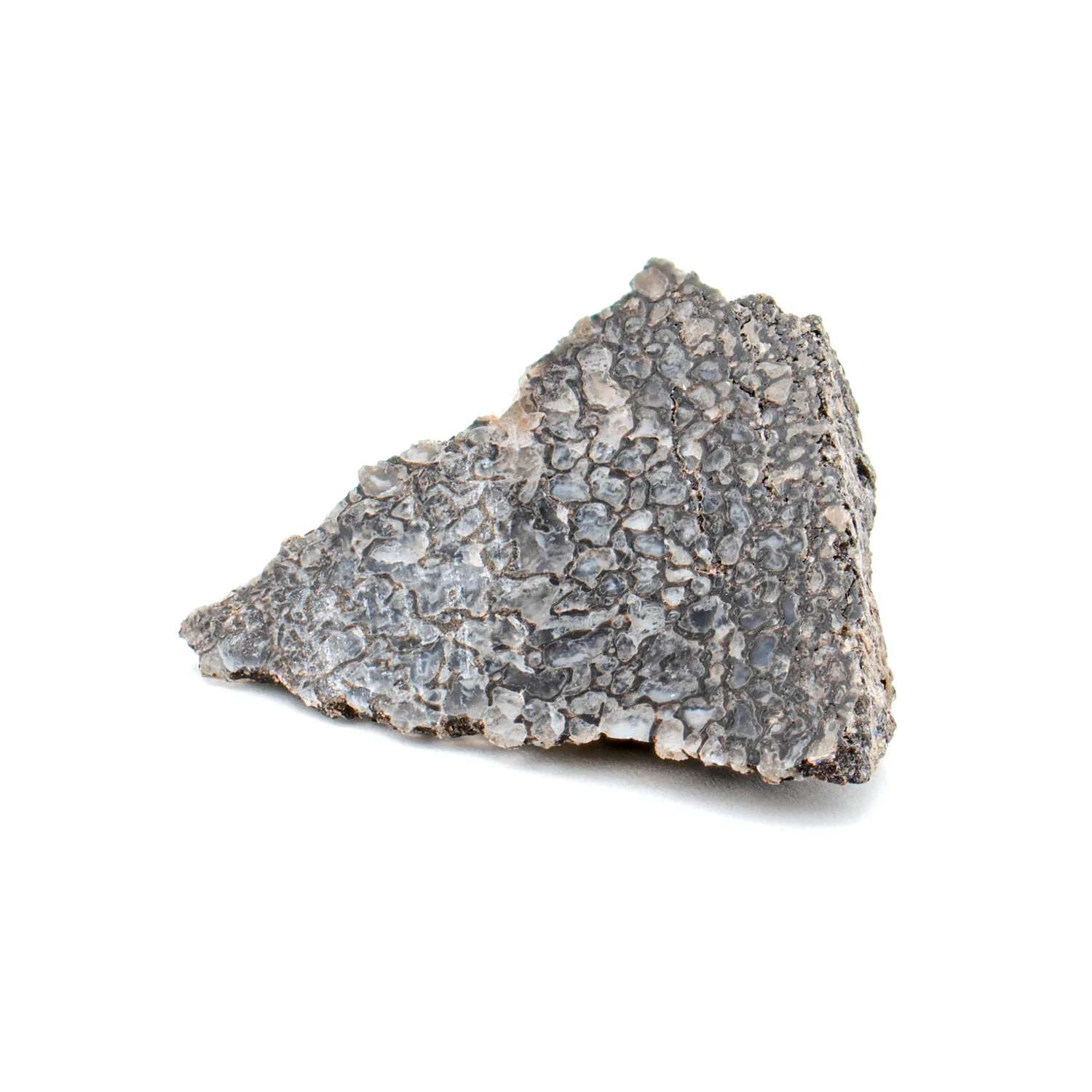 Polished Dinosaur Bone - SOLD 1.04" Slice - Image 2