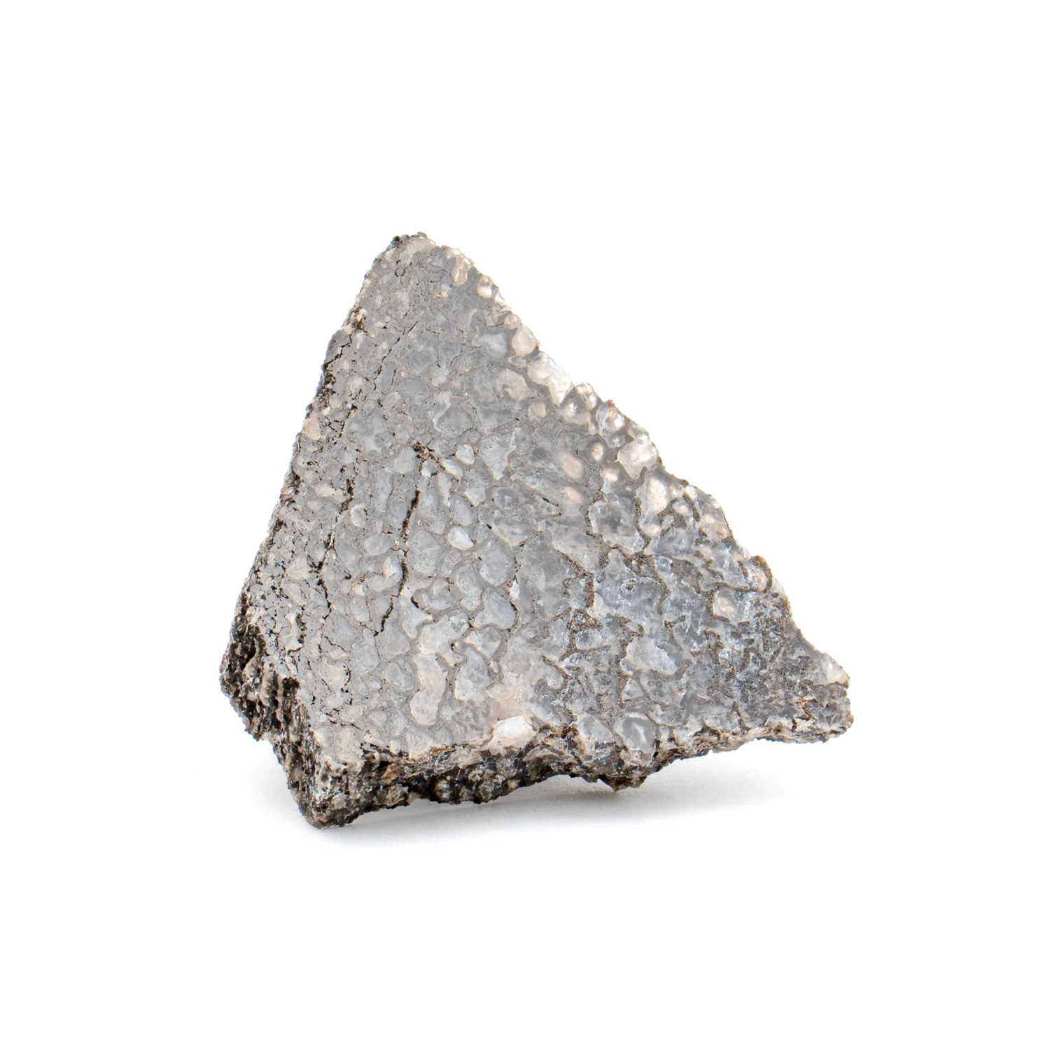 Polished Dinosaur Bone - SOLD 1.04" Slice - Image 3