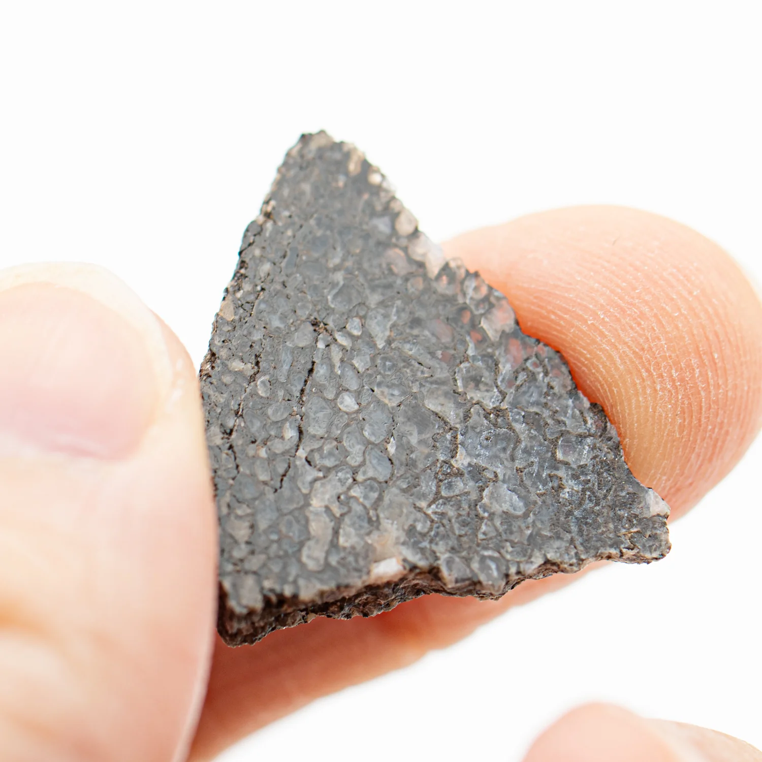 Polished Dinosaur Bone - SOLD 1.04" Slice - Image 4