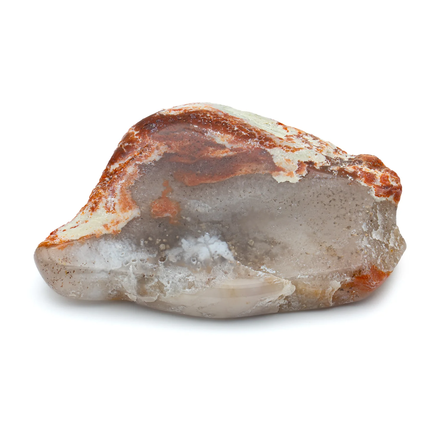 Polished Dinosaur Dung (Coprolite) Slice - Image 7