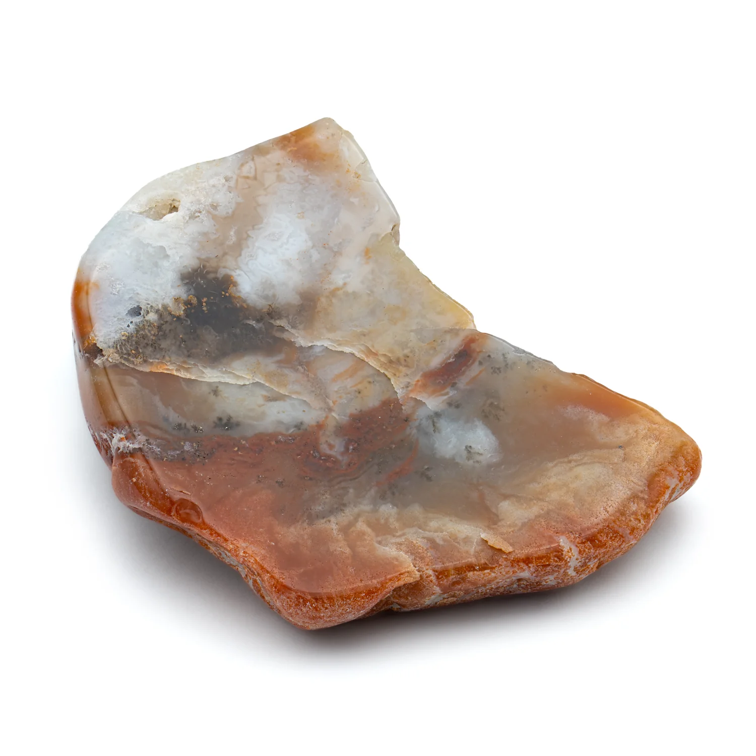 Polished Dinosaur Dung (Coprolite) Slice - Image 9