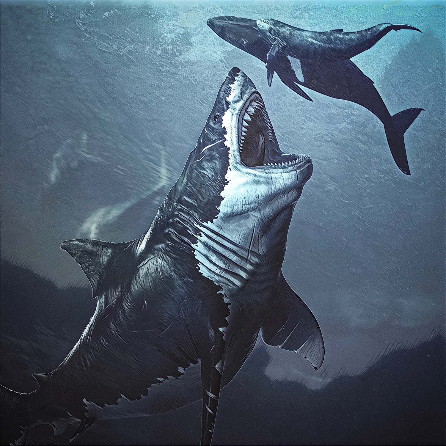 Megalodon Tooth (Boxed Sizes) Polished - Image 4