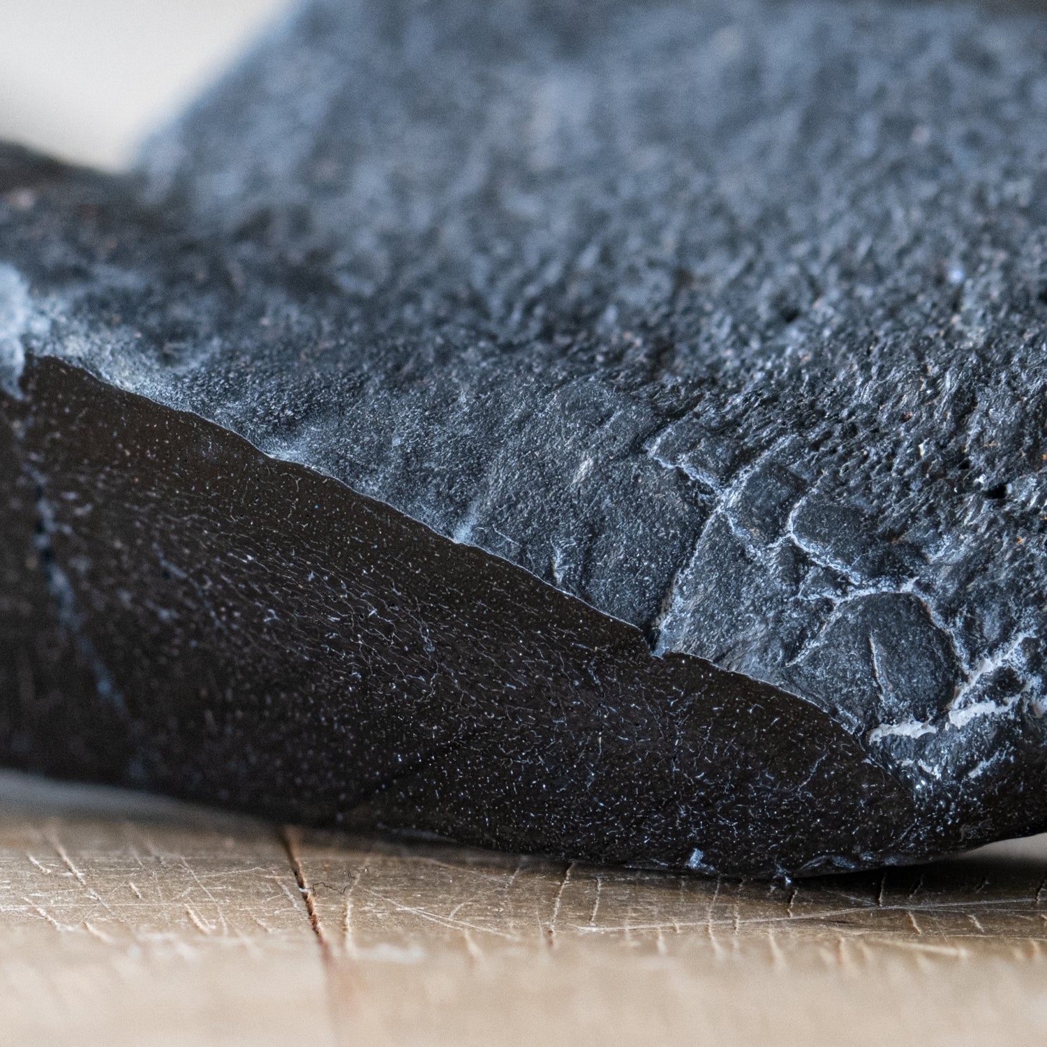 Polished Megalodon Tooth Root - Image 9