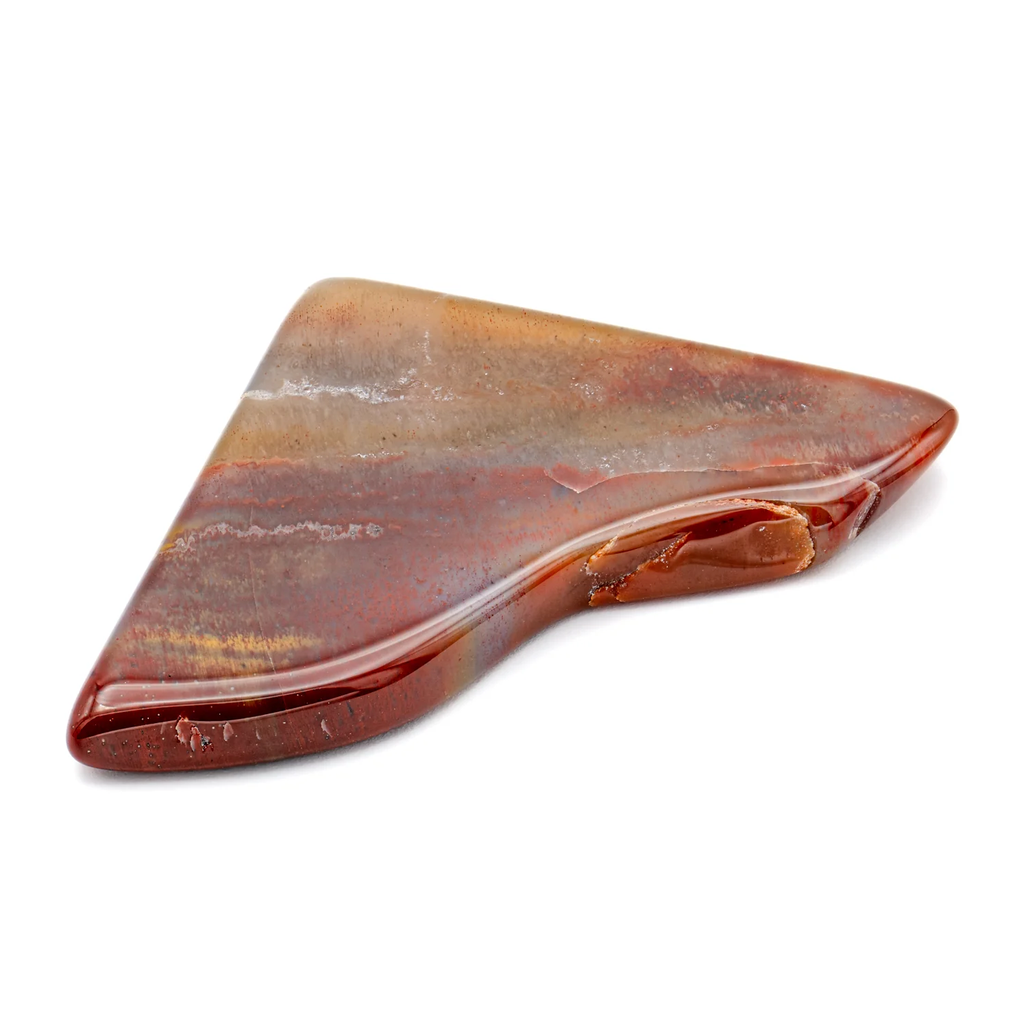 Polished Petrified Wood - SOLD 1.81" - Image 4