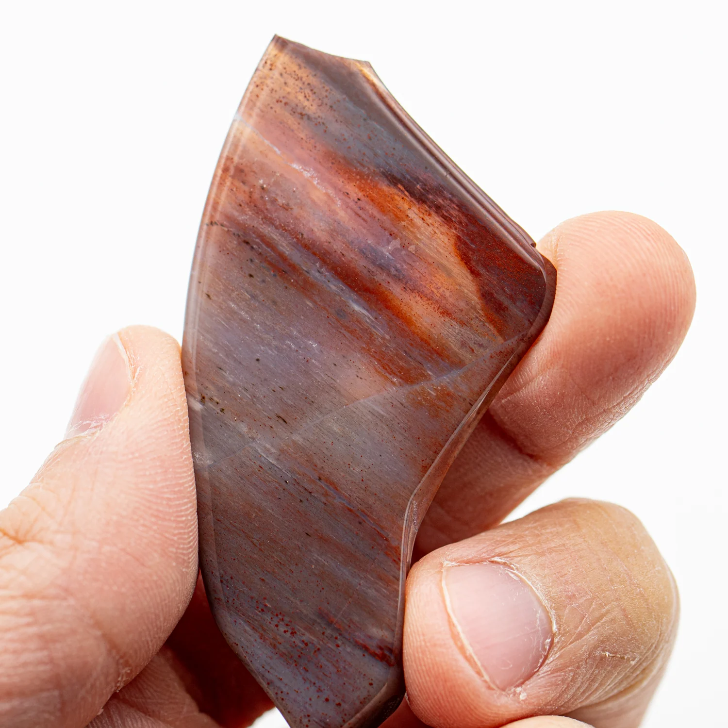 Polished Petrified Wood - 2.53" - Image 2