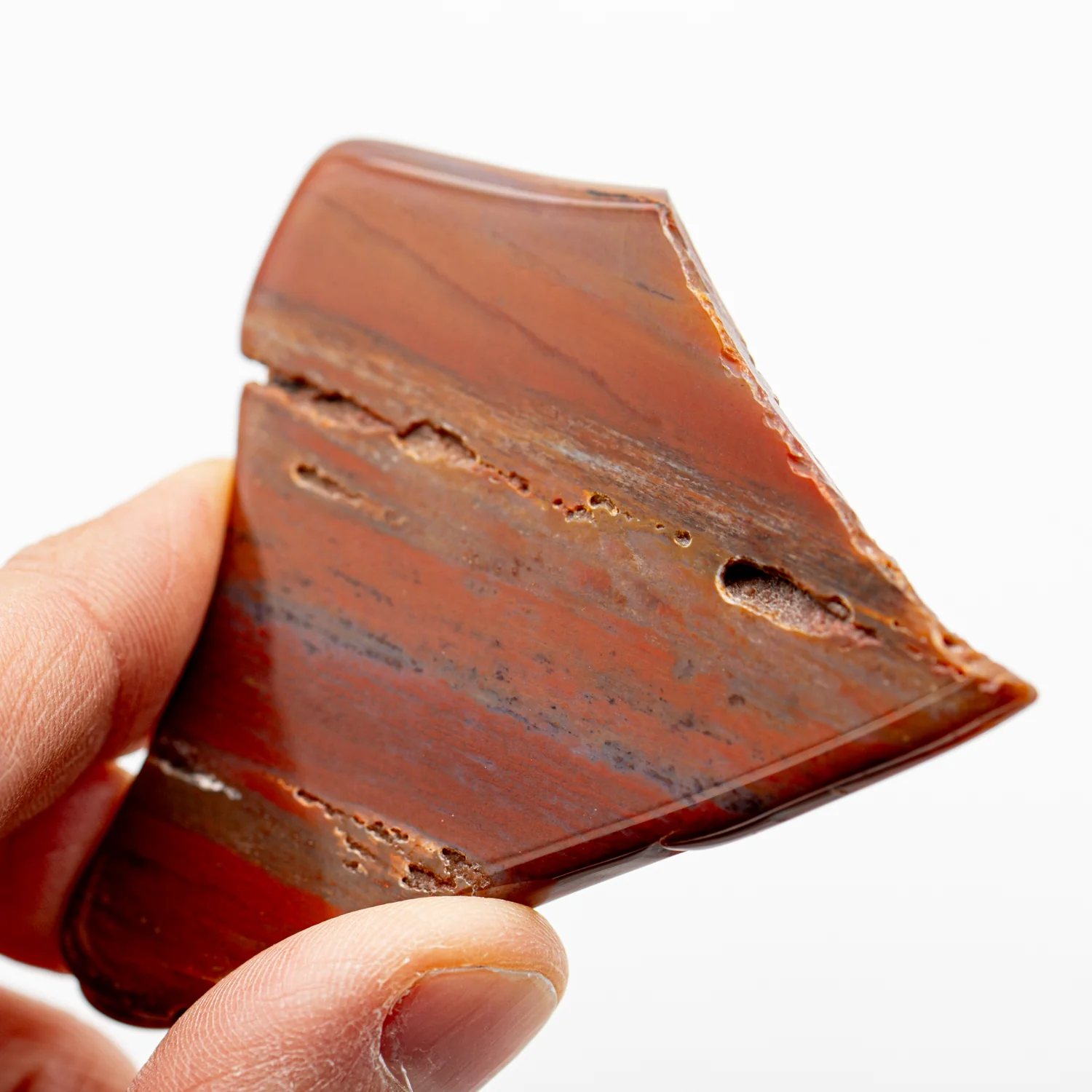 Polished Petrified Wood - 2.82" - Image 3