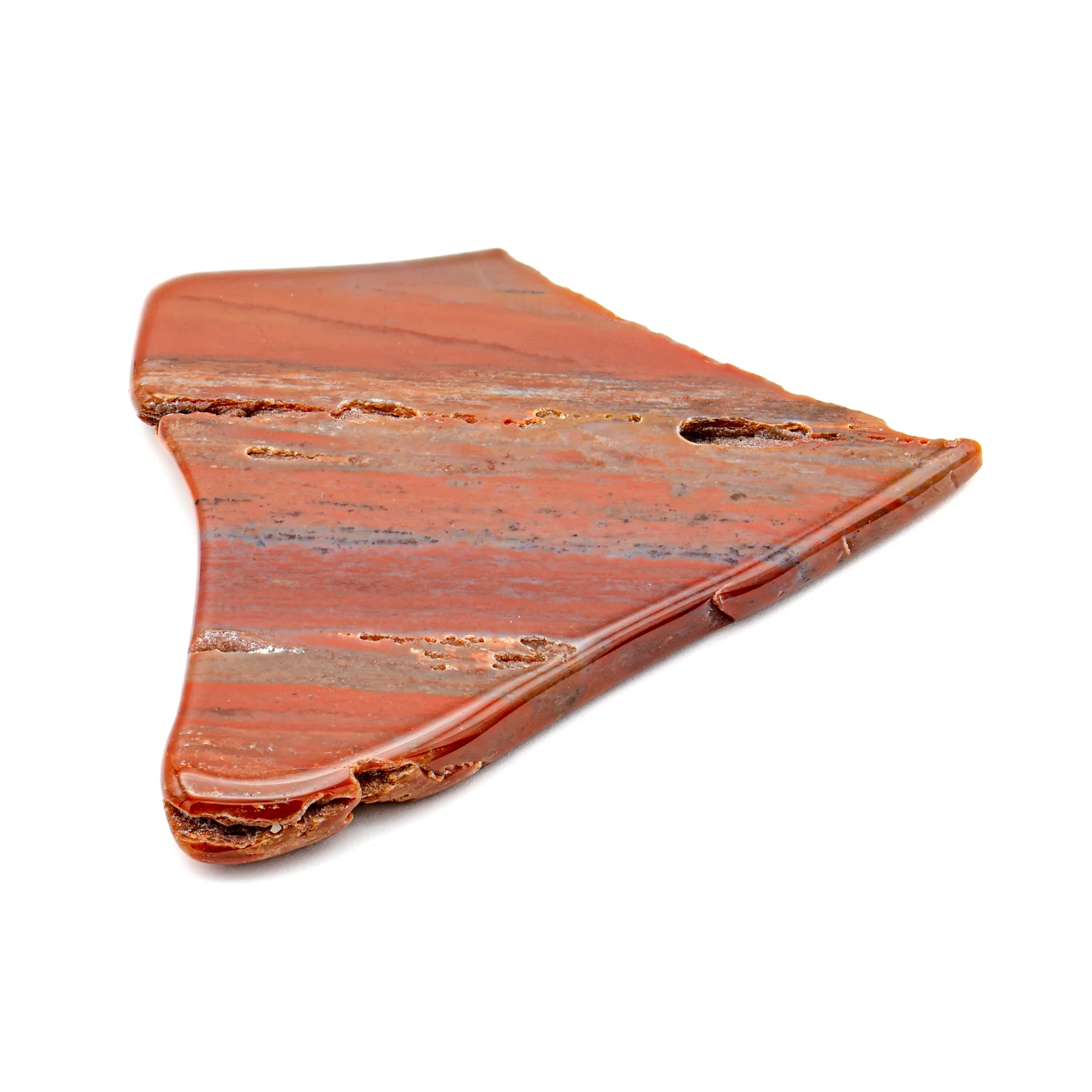 Polished Petrified Wood - 2.82" - Image 5