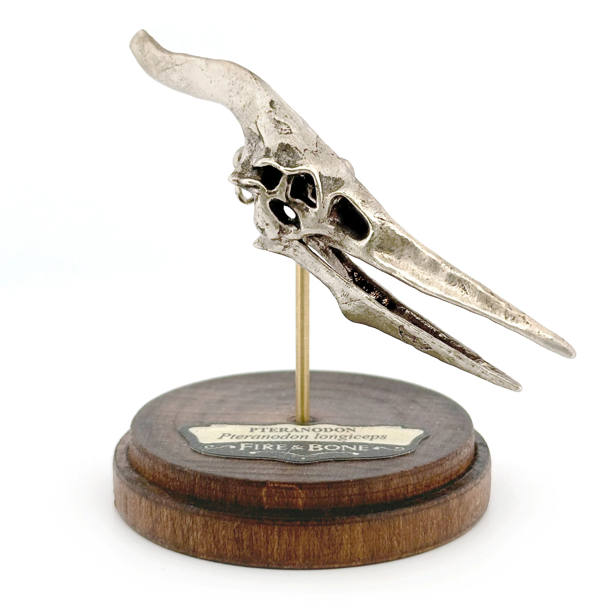 Pteranodon Skull Pendant - Image 4