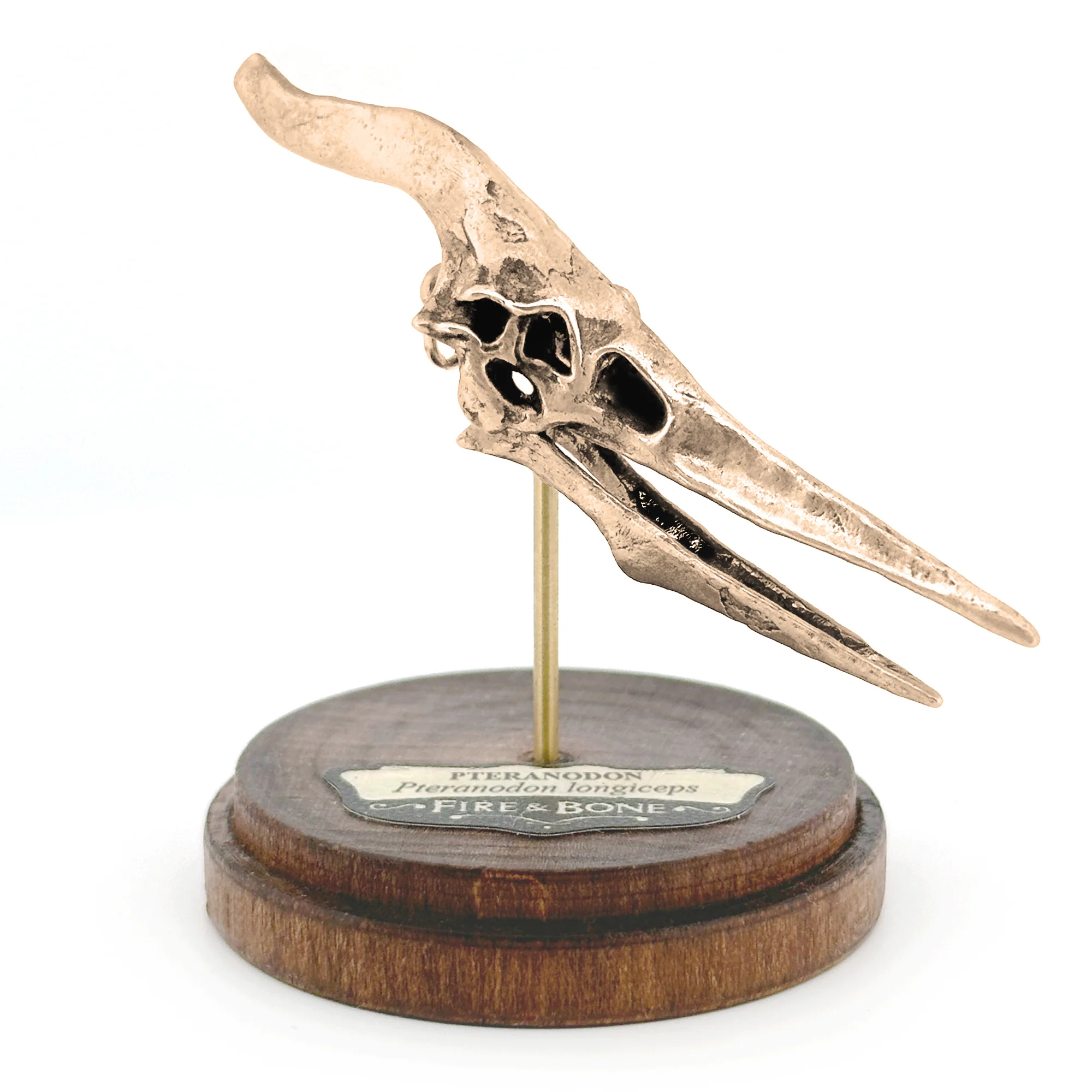 Pteranodon Skull Pendant - Image 5