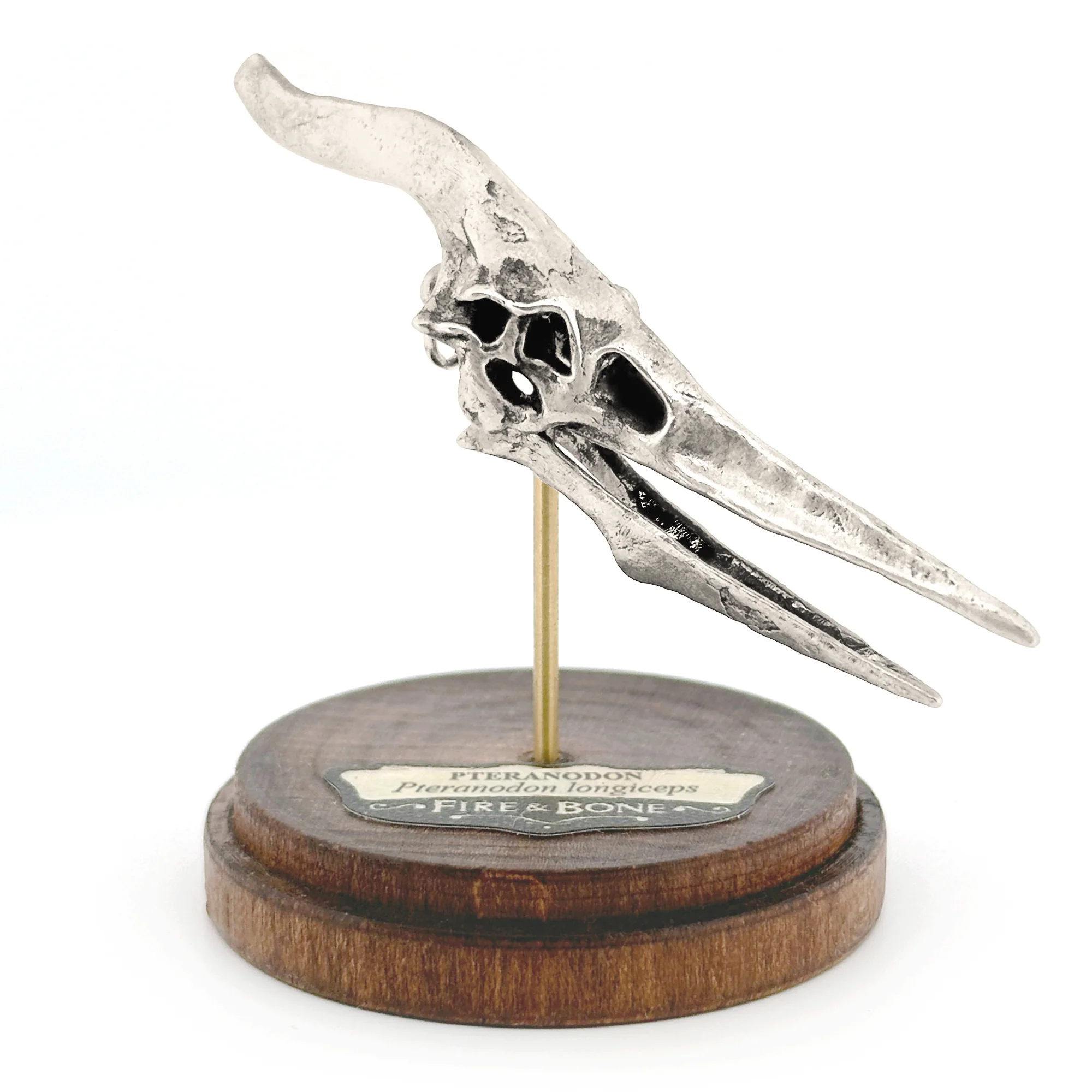 Pteranodon Skull Pendant - Image 6