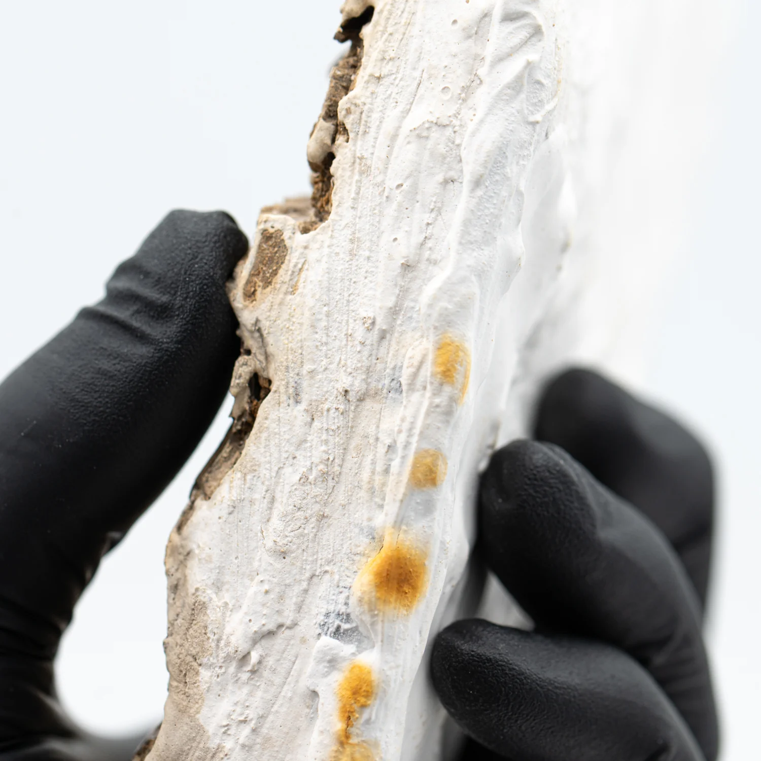 Pterosaur Bone - SOLD 8.740" Fragment - Image 10
