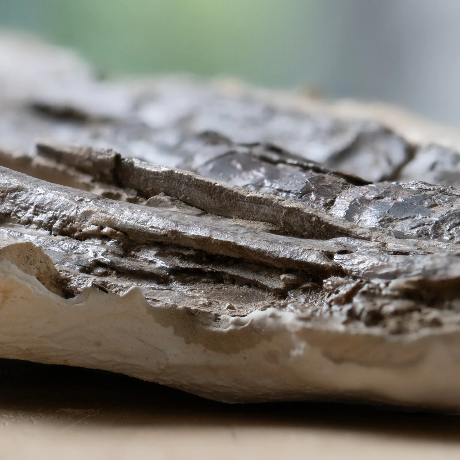 Pterosaur Bone - SOLD 8.740" Fragment - Image 4