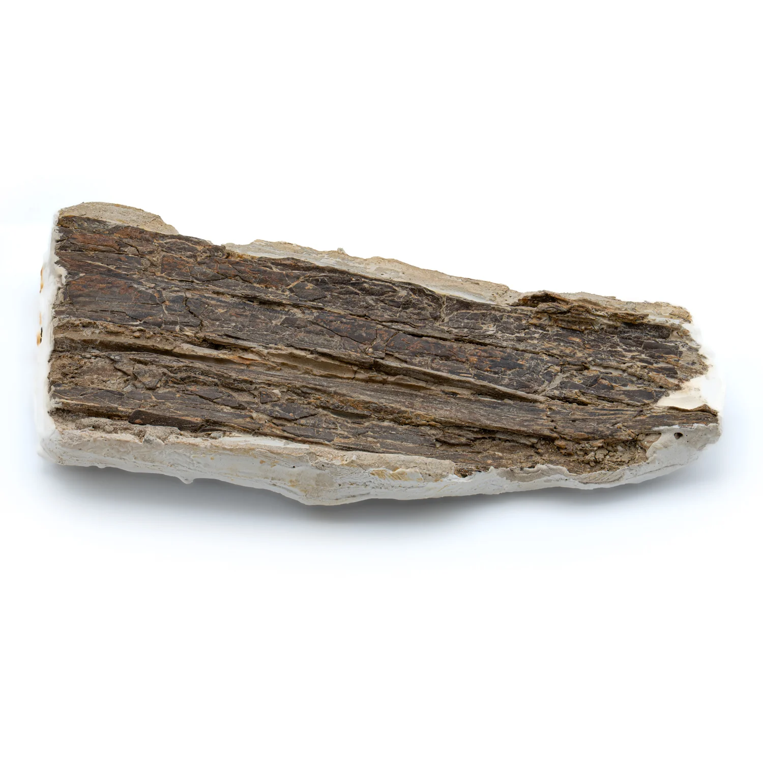 Pterosaur Bone - SOLD 8.740" Fragment - Image 7