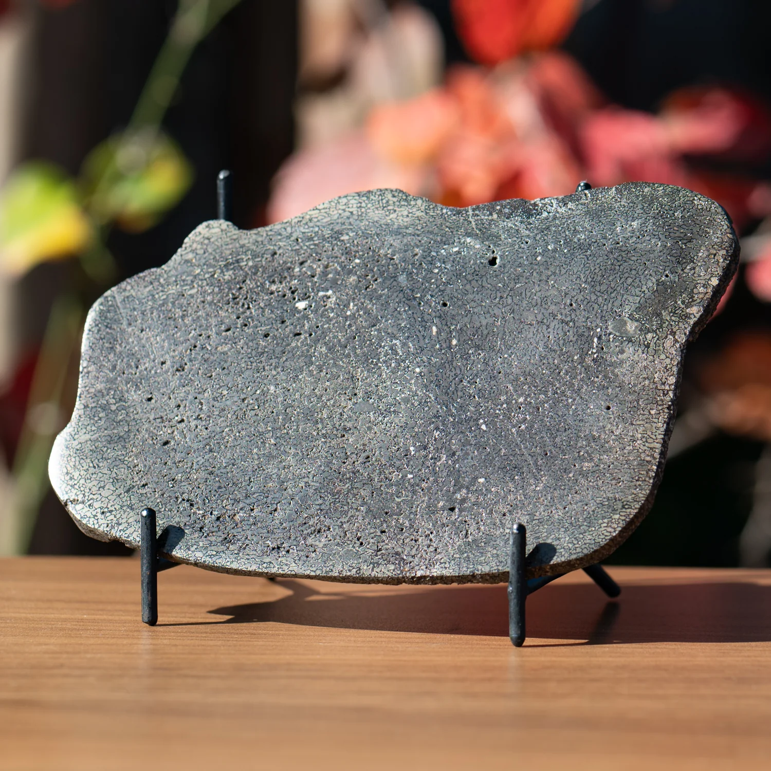 Pyritized Iguanodon Bone SOLD 5.81" Cross-Section Slab
