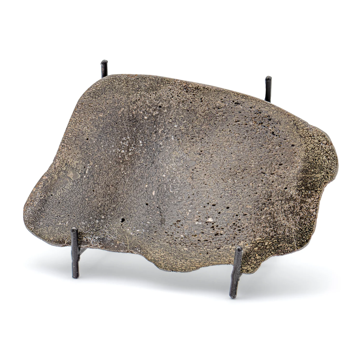 Pyritized Iguanodon Bone SOLD 5.81" Cross-Section Slab - Image 5