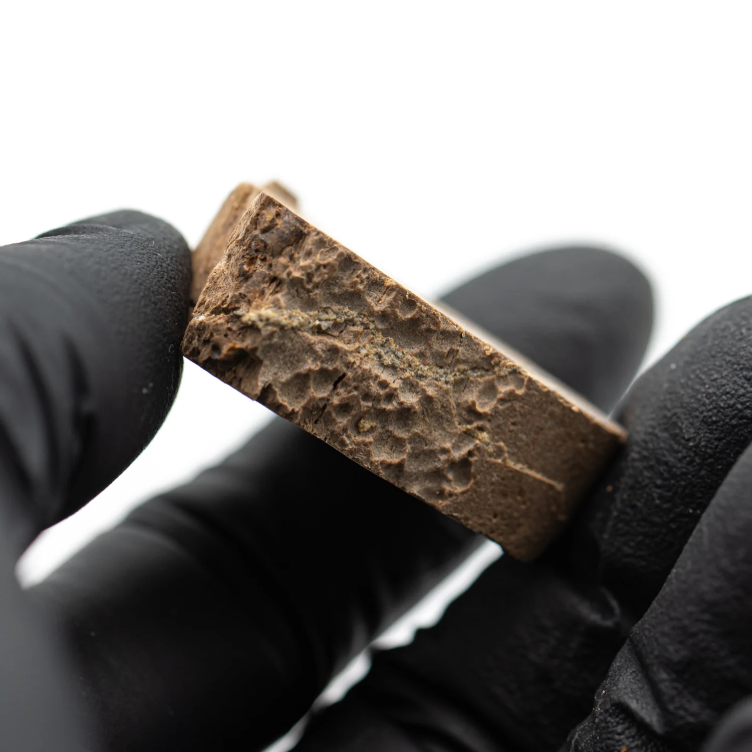 Raptor Bone - 1.260" Fossil Fragment - Image 3