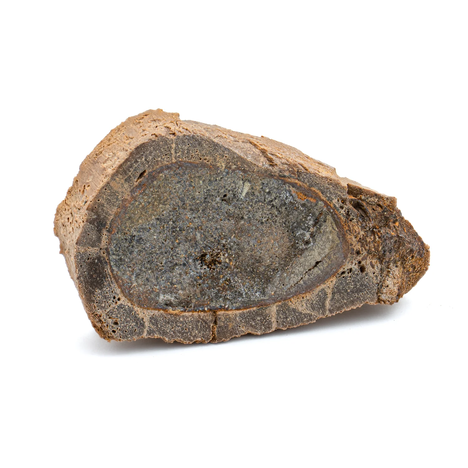 Raptor Bone - 1.712" Fossil Fragment - Image 2