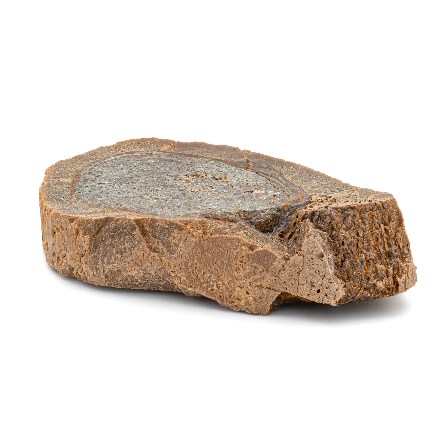 Raptor Bone - 1.712" Fossil Fragment - Image 4