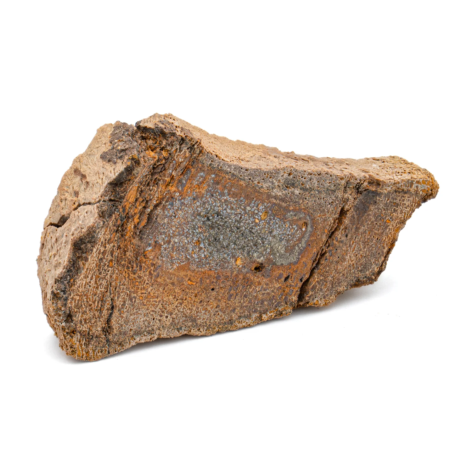 Raptor Bone - 2.062" Fossil Fragment