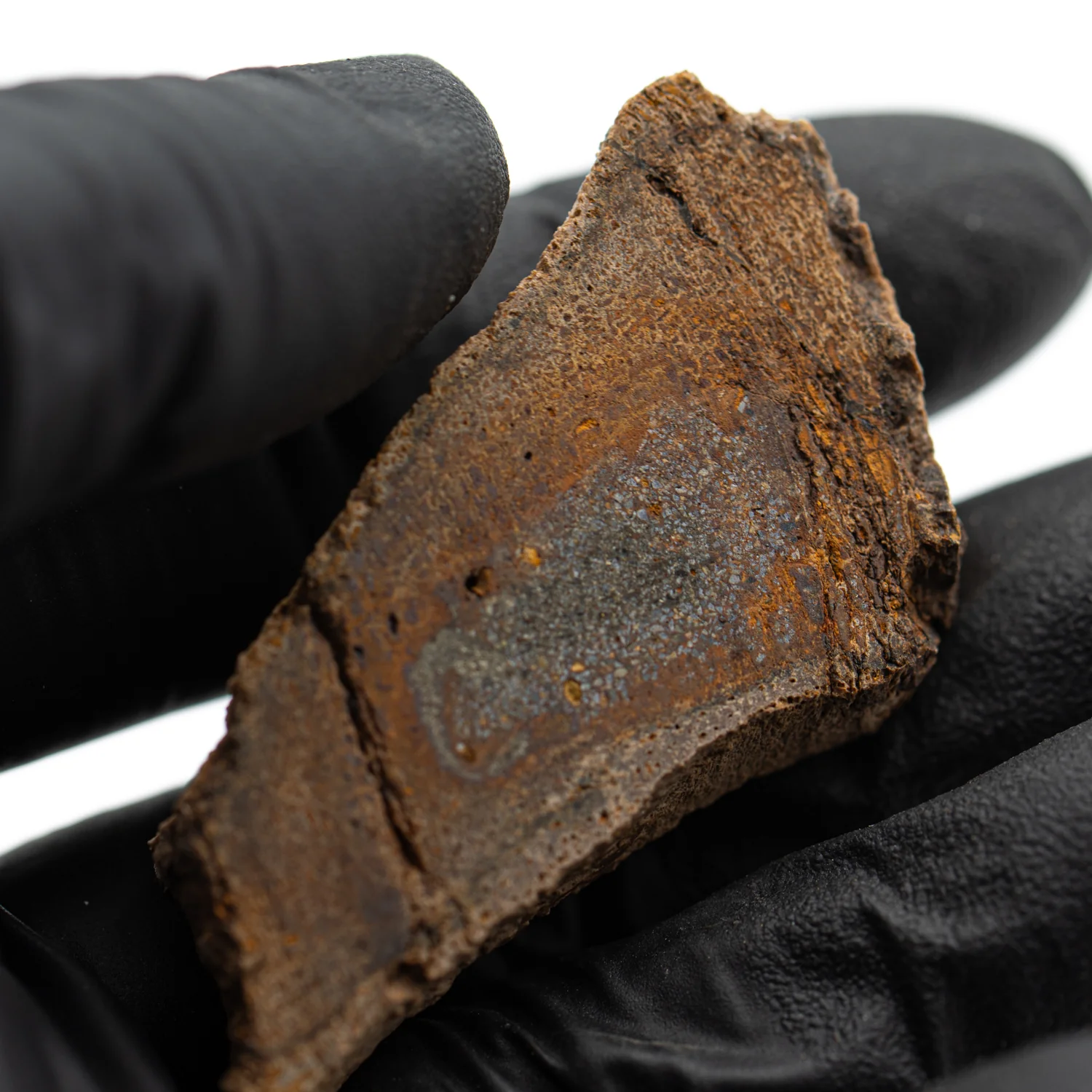 Raptor Bone - 2.062" Fossil Fragment - Image 2