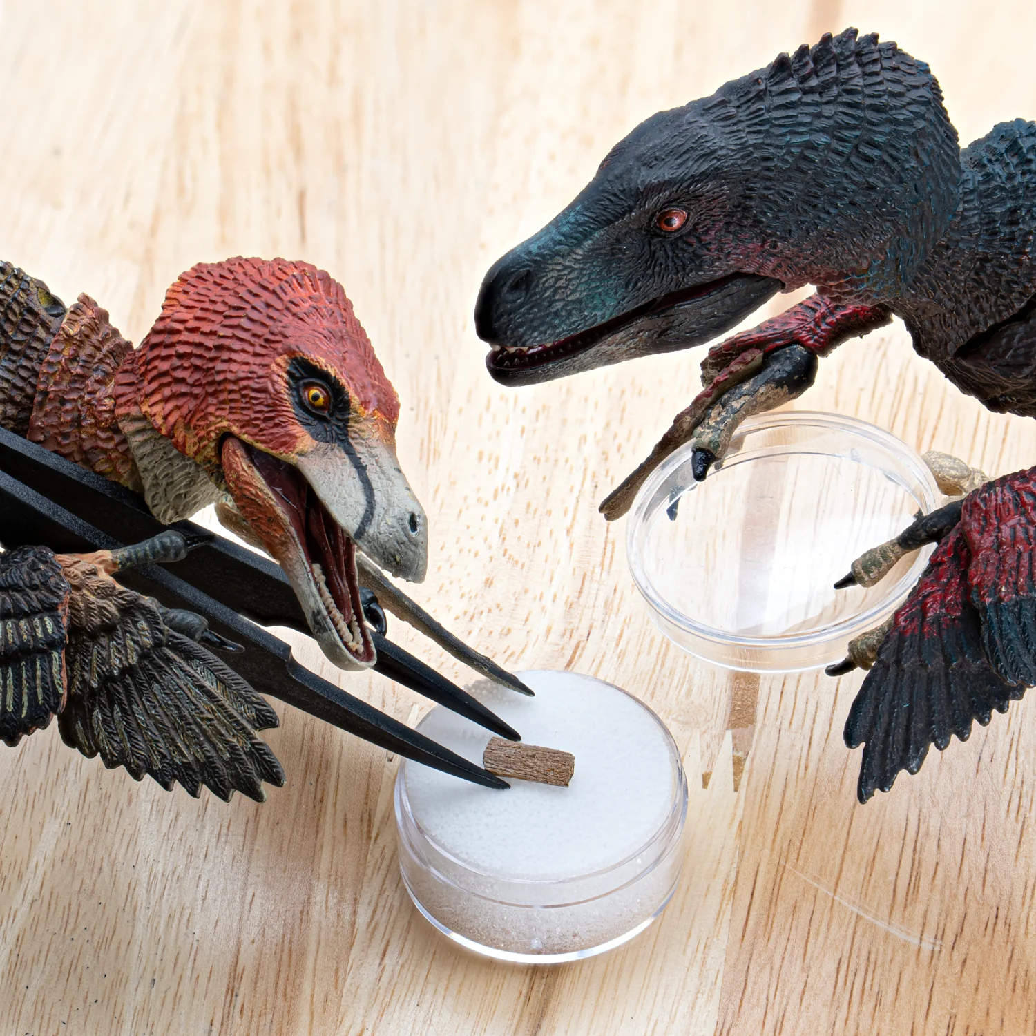 Raptor Bone - Image 4
