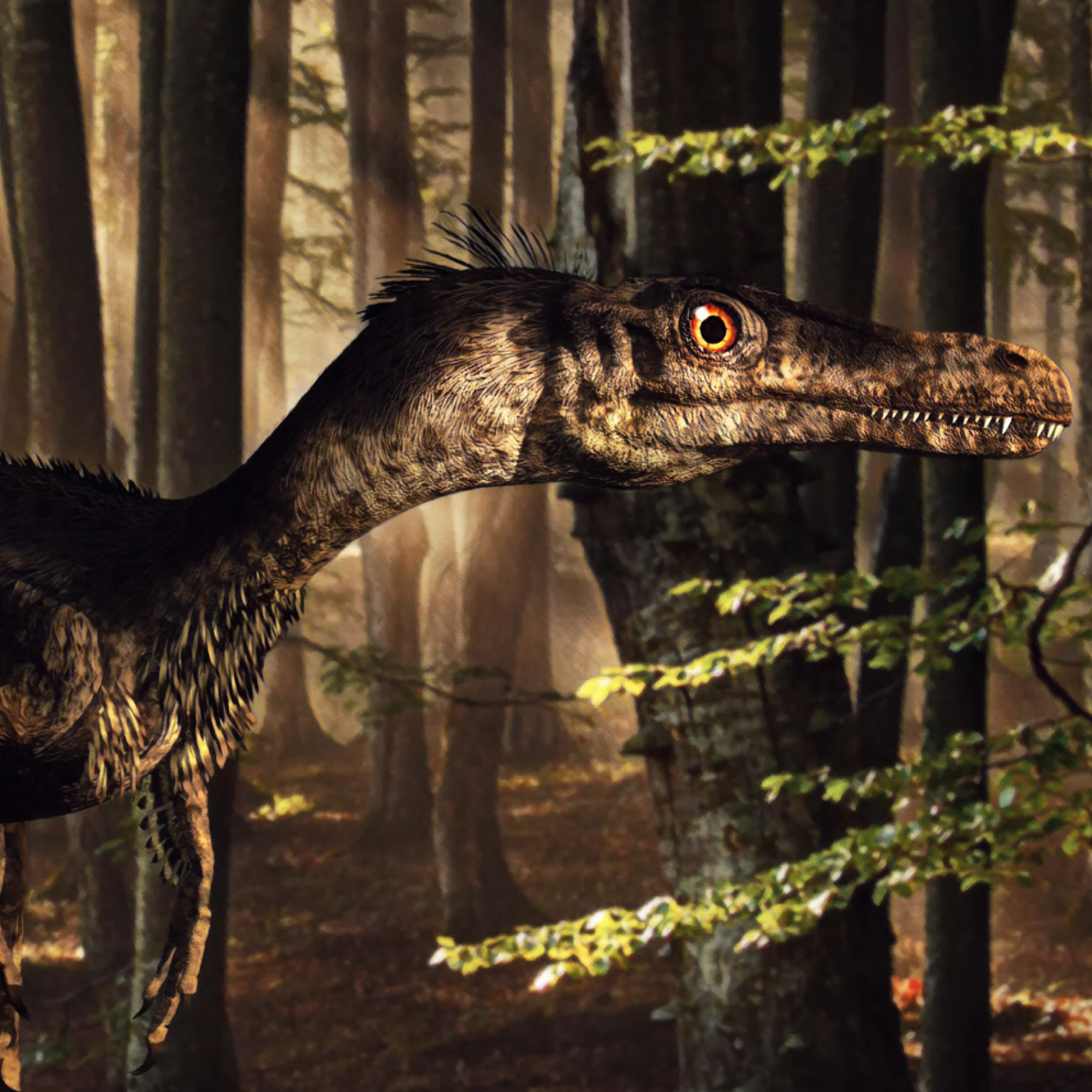 Raptor Tooth - Image 2