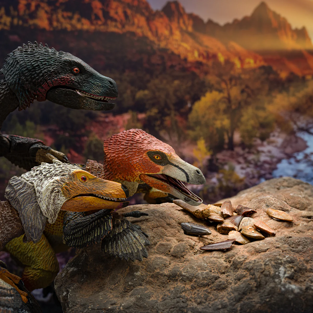 Raptor Tooth - Image 4